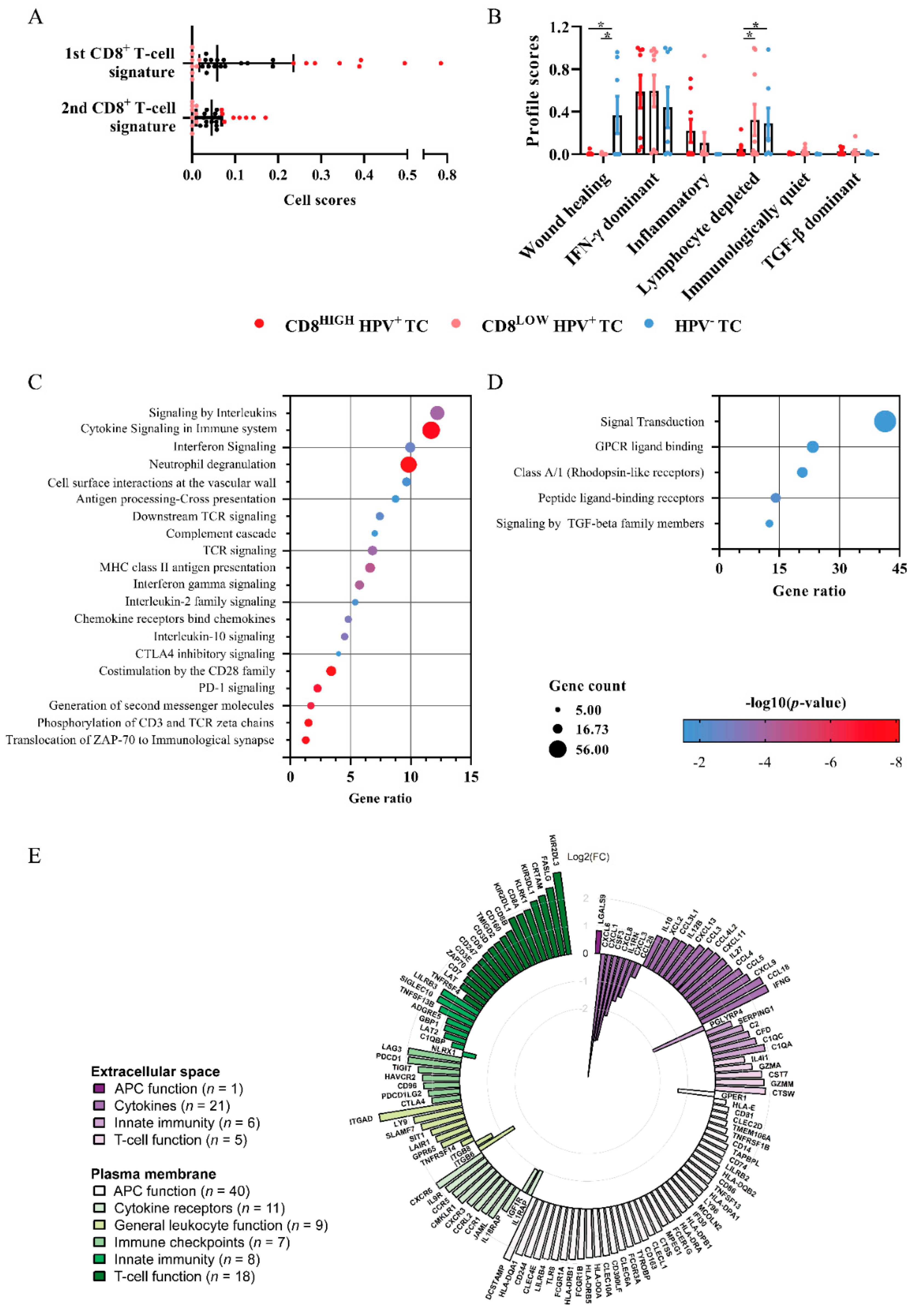 Cancers 13 05341 g004 Cancers 13 05341 g004