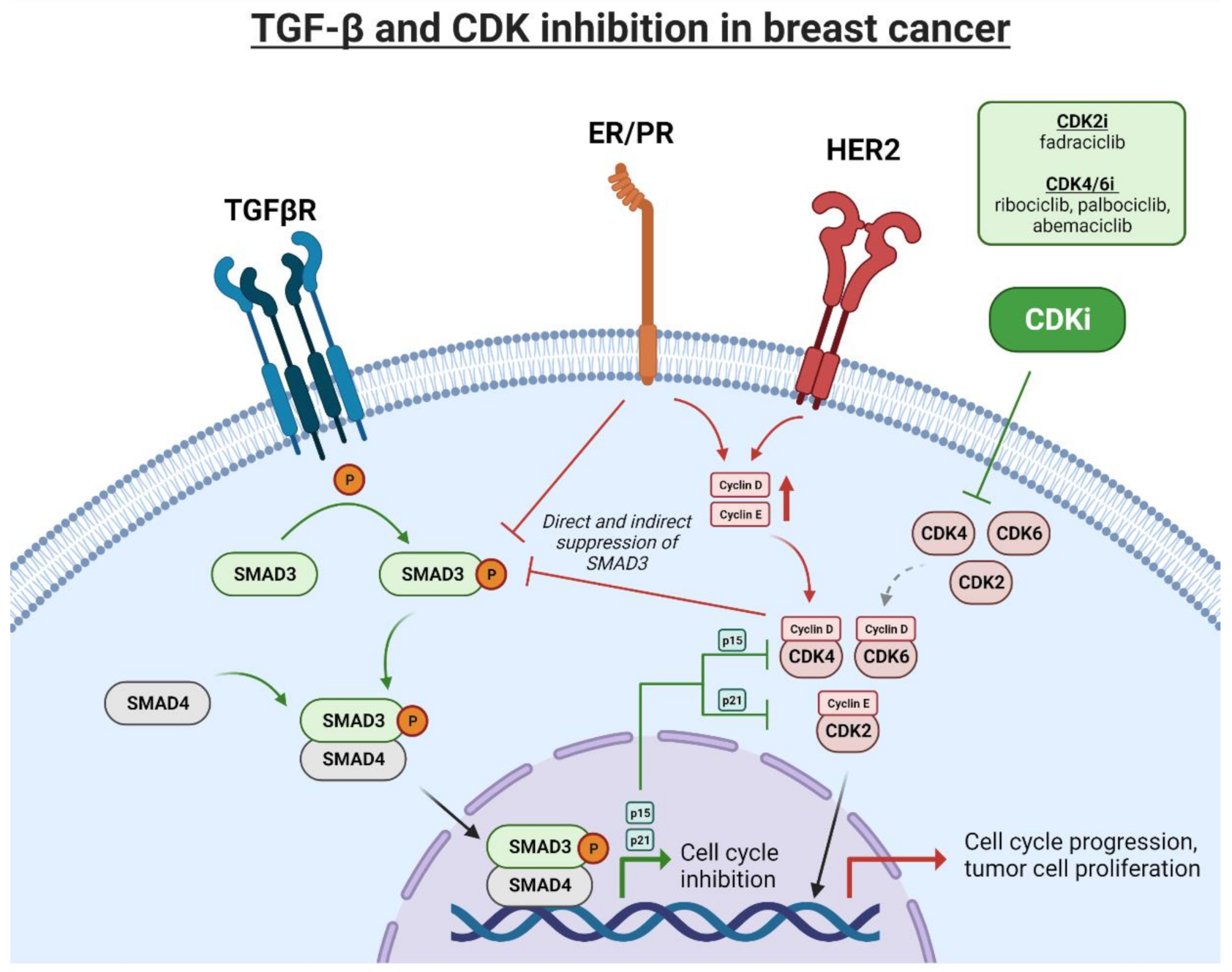 Cancers 13 05343 g002 550