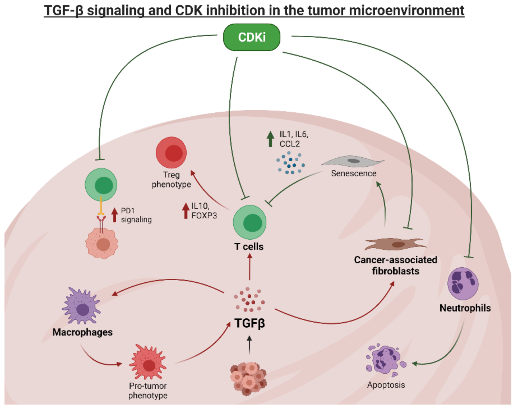 Cancers 13 05343 g003 550