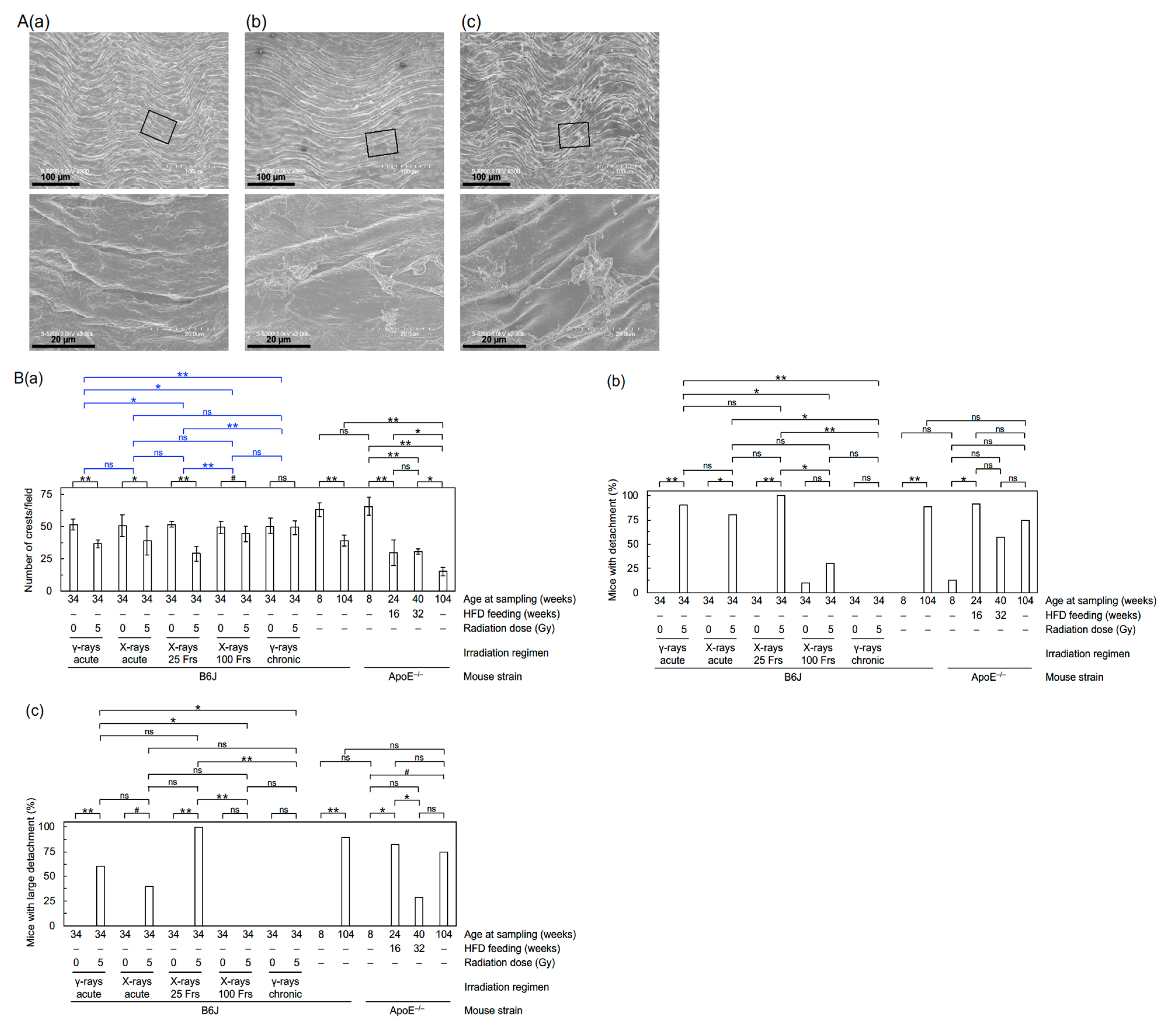 Cancers 13 05344 g001 550