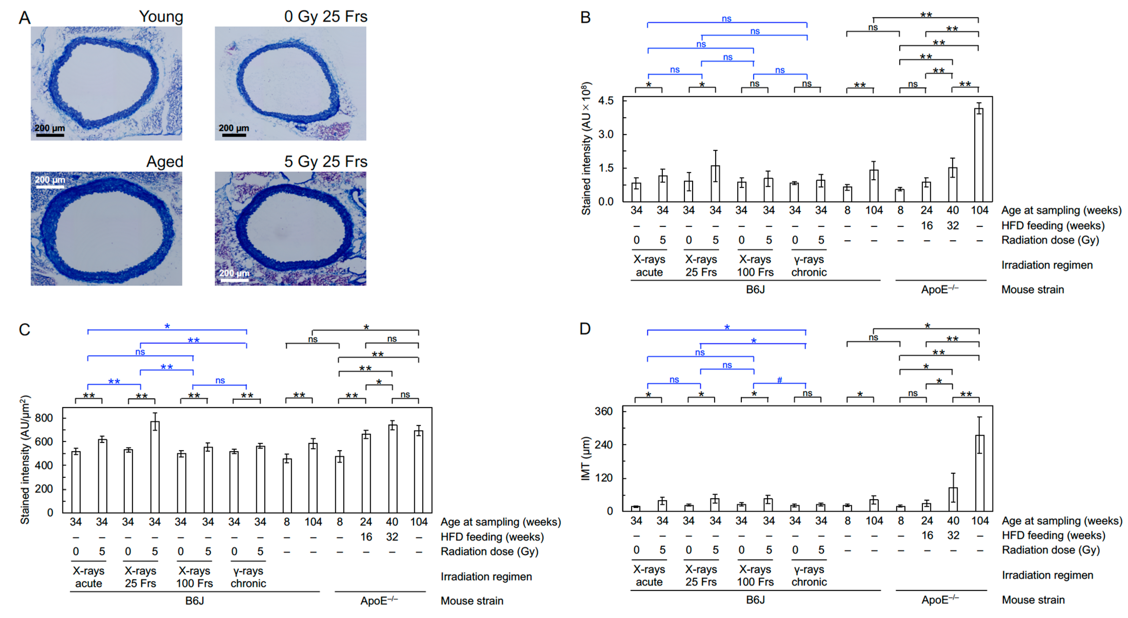 Cancers 13 05344 g004 550