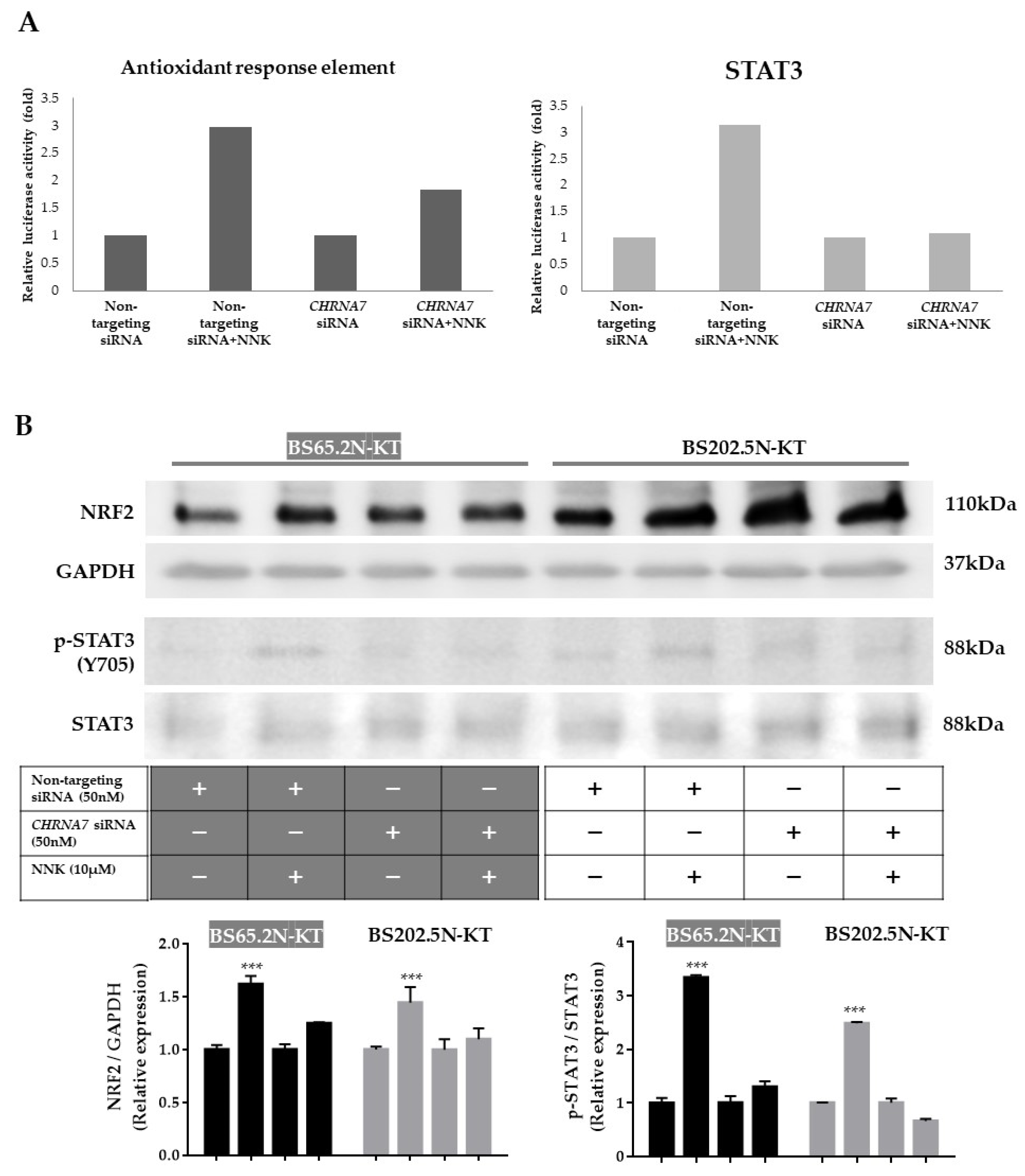 Cancers 13 05345 g004a