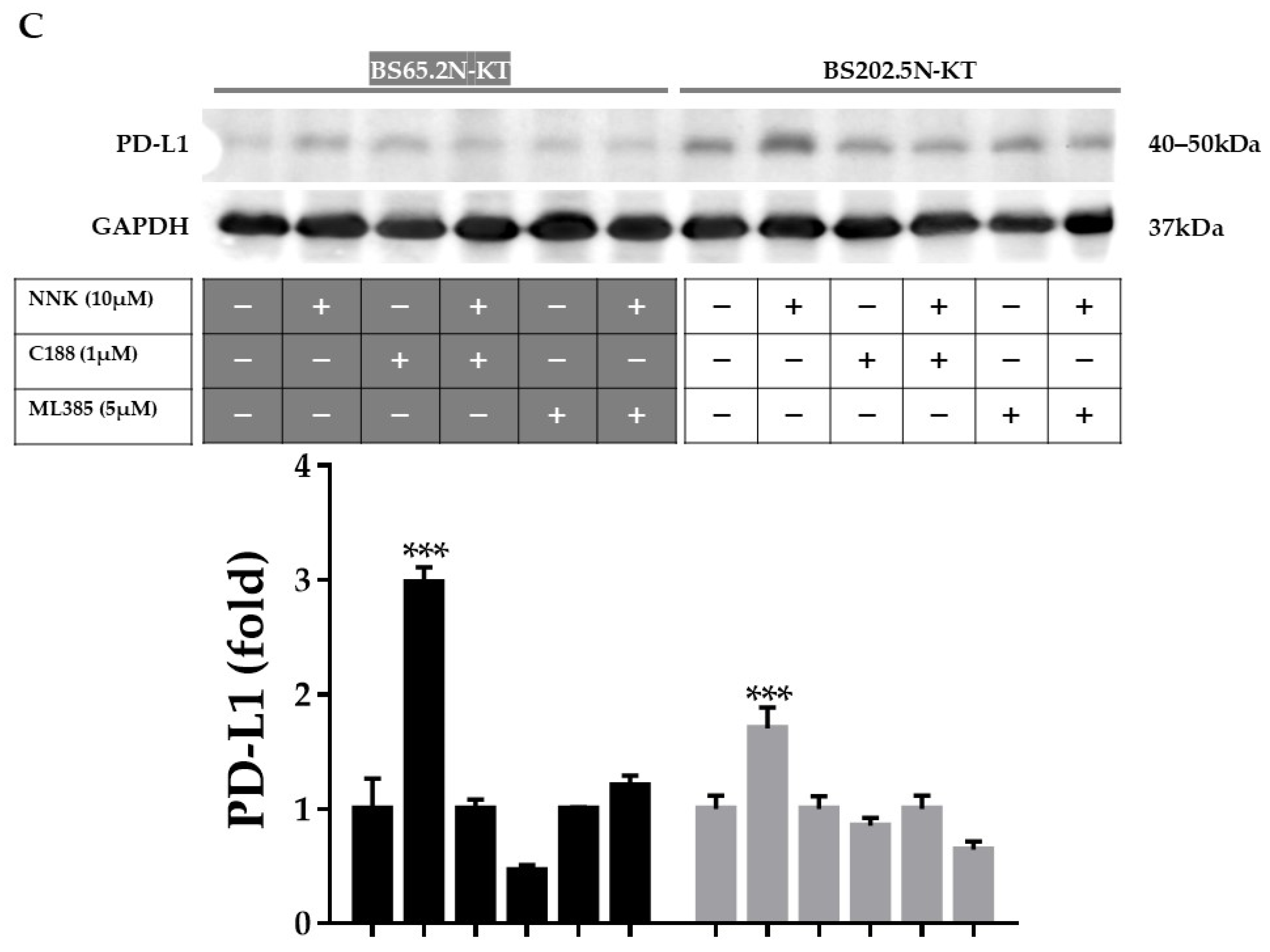 Cancers 13 05345 g004b
