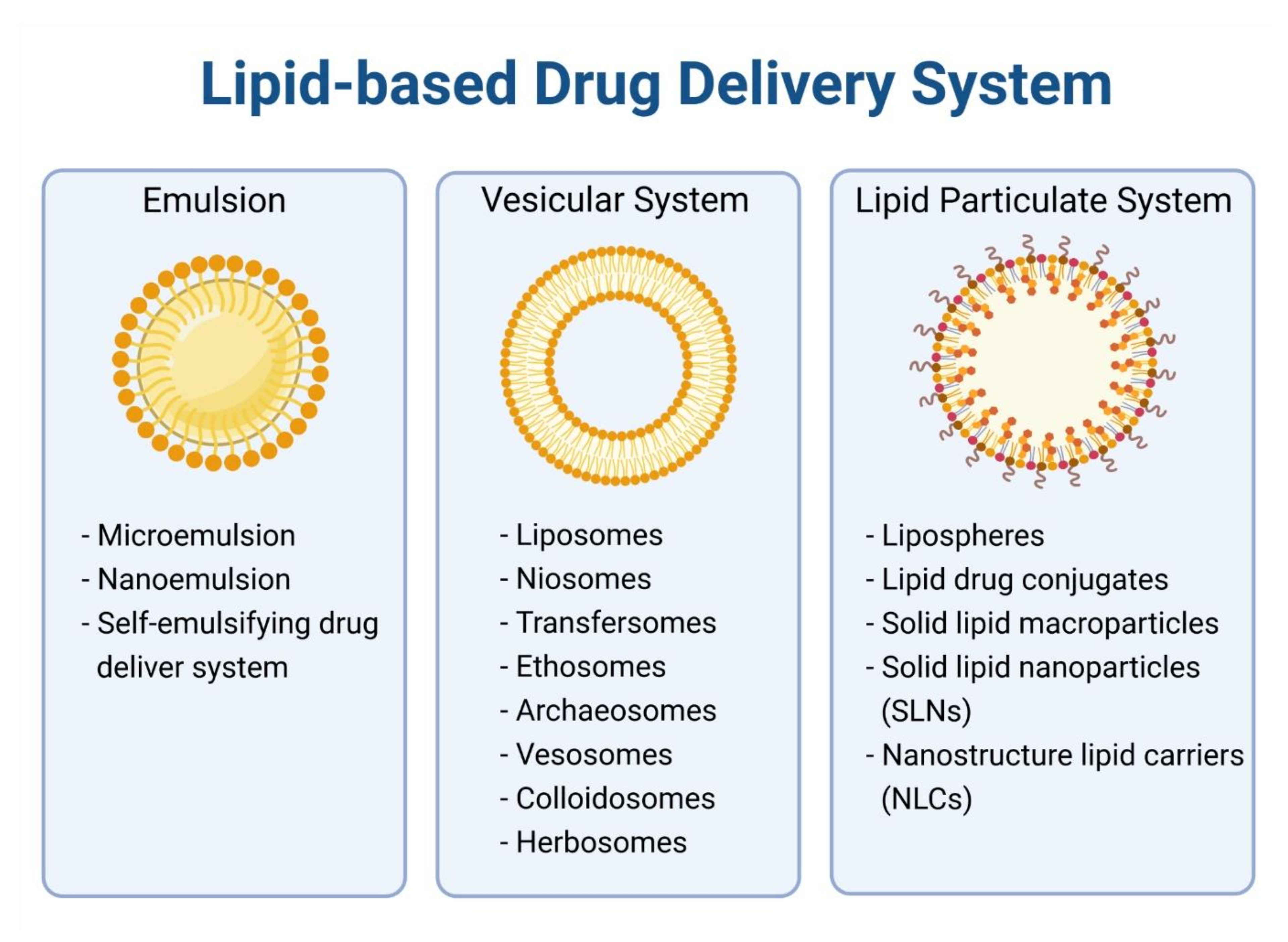 Cancers 13 05346 g002