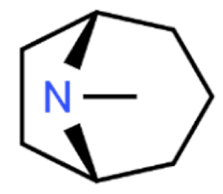 Cancers 13 05346 i051