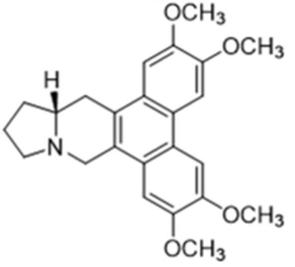 Cancers 13 05346 i060