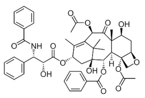 Cancers 13 05346 i078