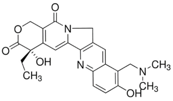 Cancers 13 05346 i082