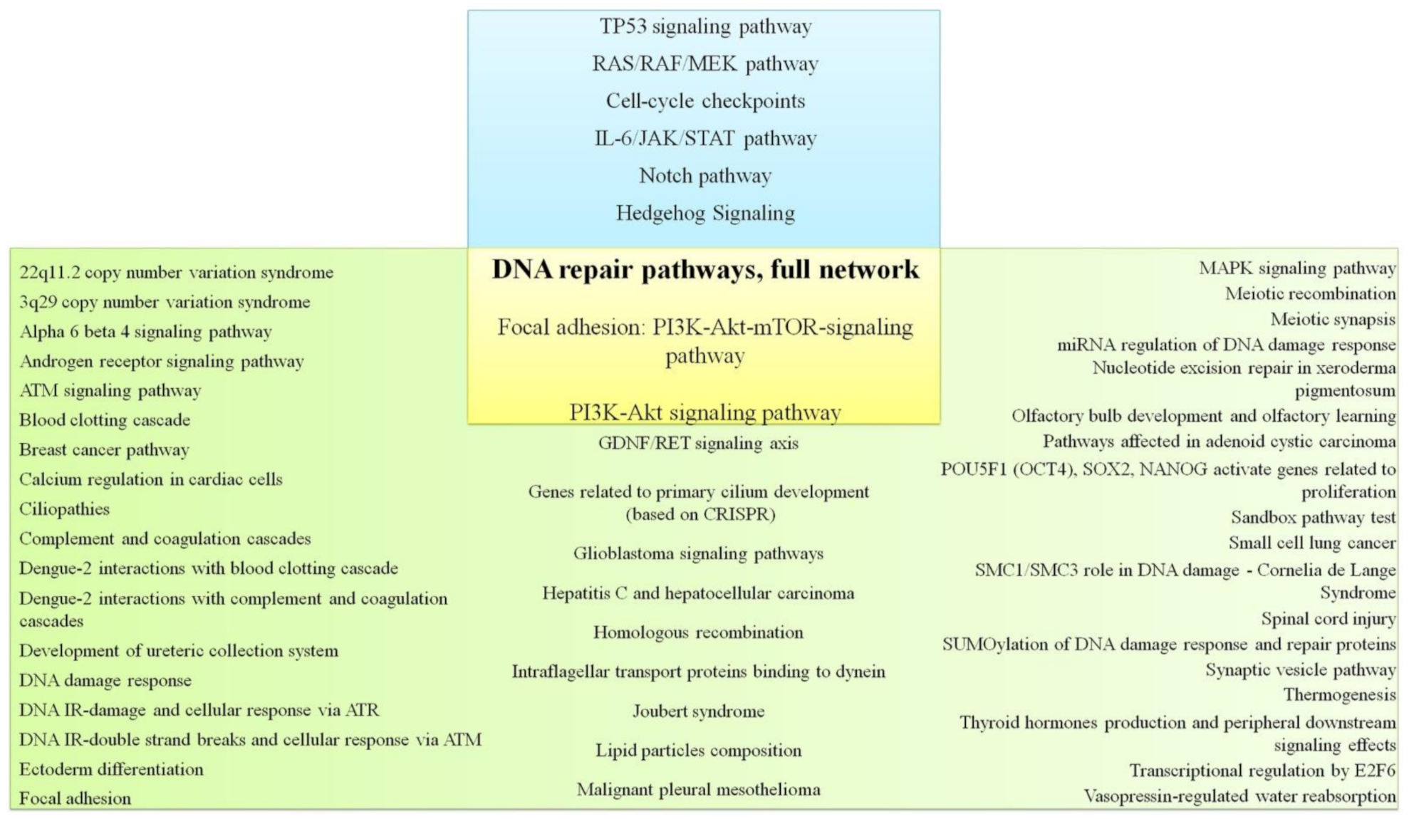 Cancers 13 05348 g002