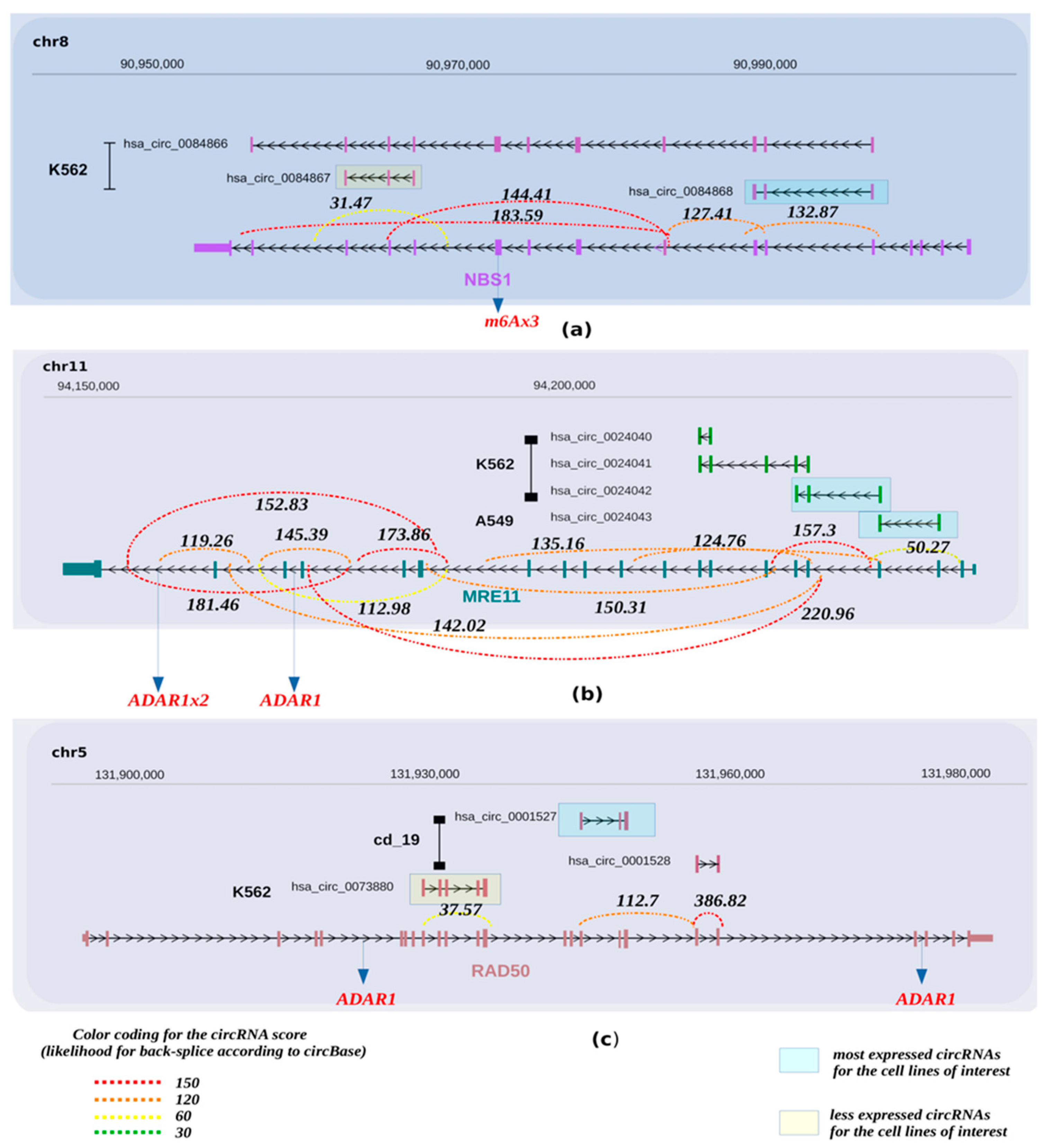 Cancers 13 05352 g002 550