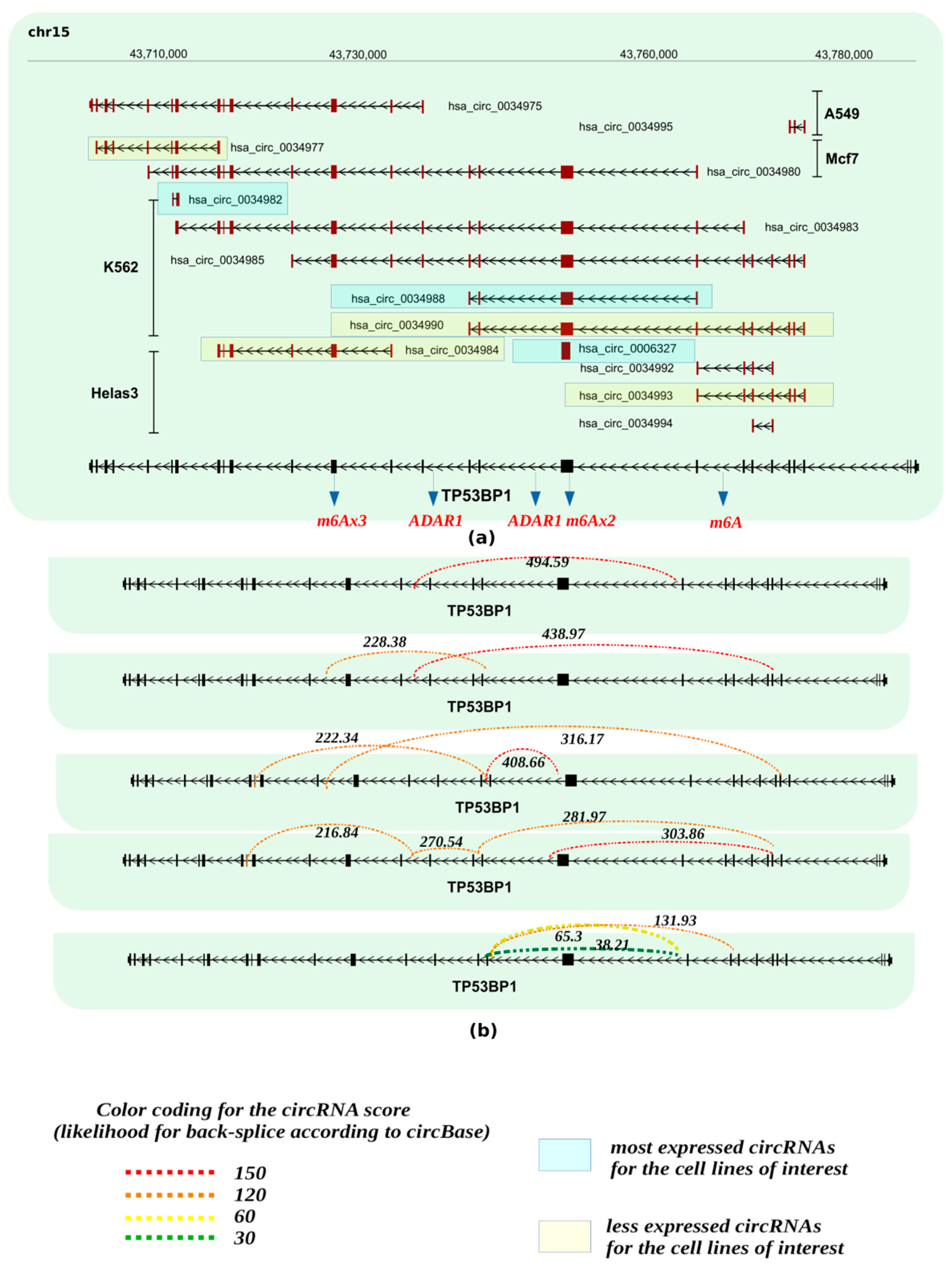 Cancers 13 05352 g003 550