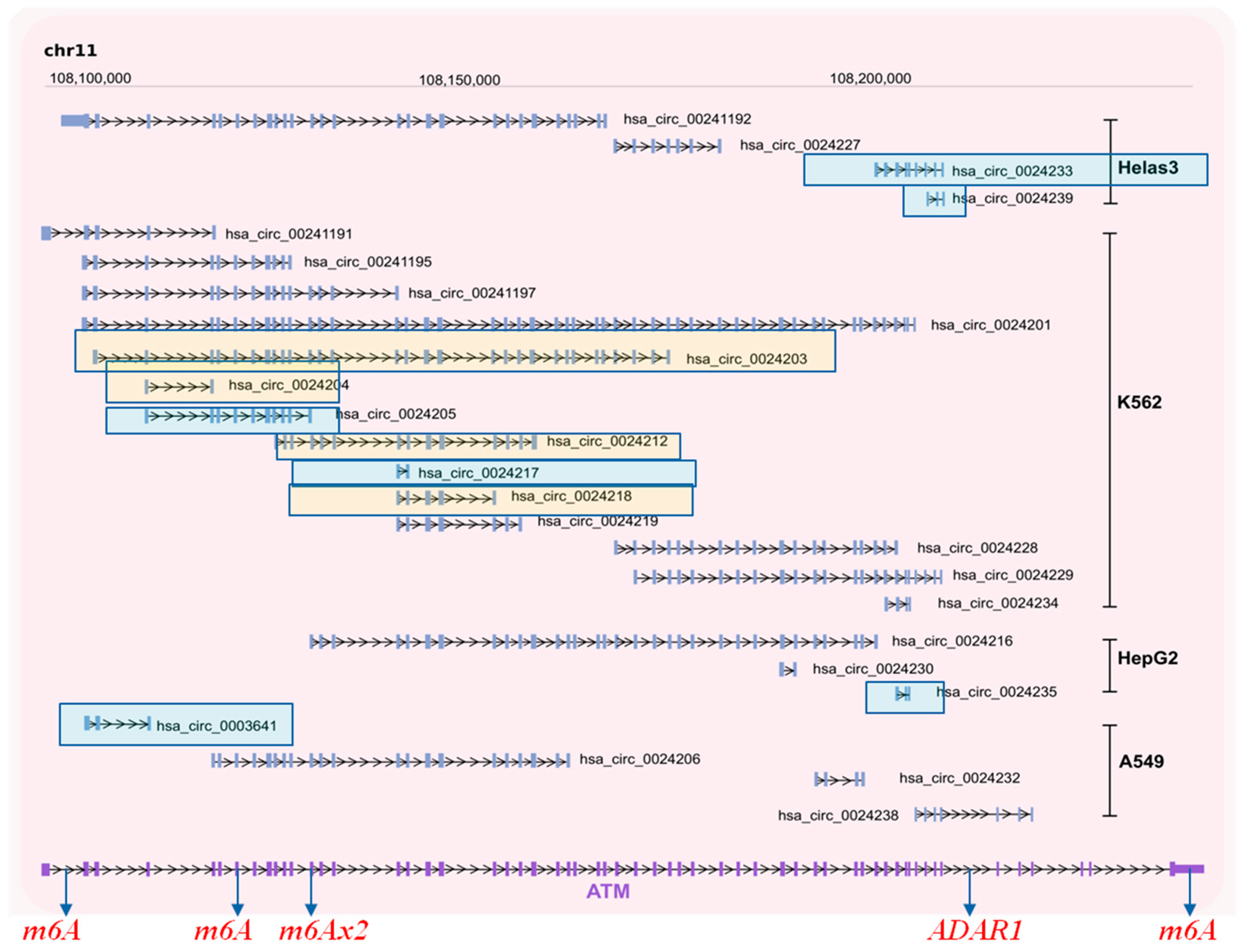 Cancers 13 05352 g004 550