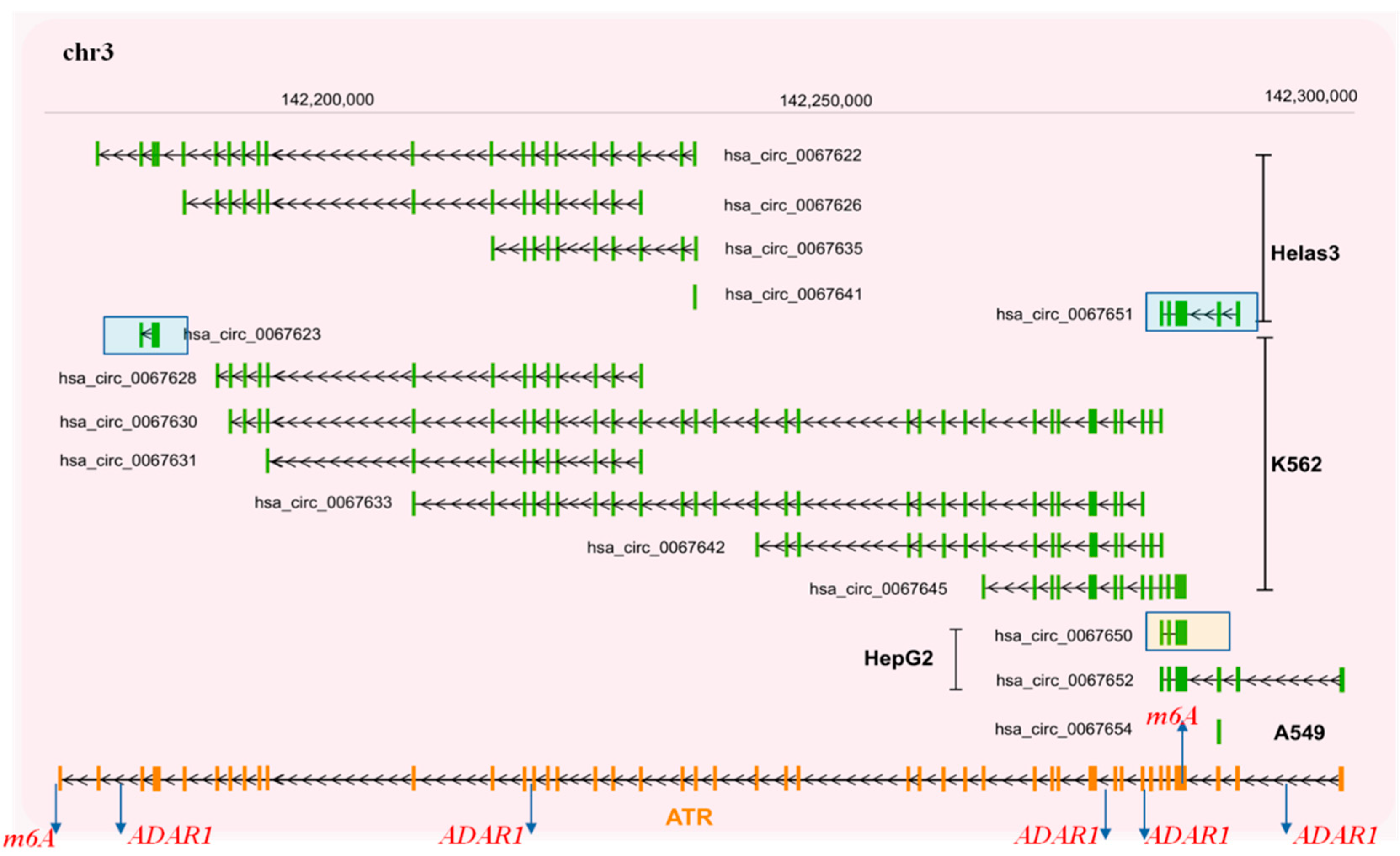 Cancers 13 05352 g005 550