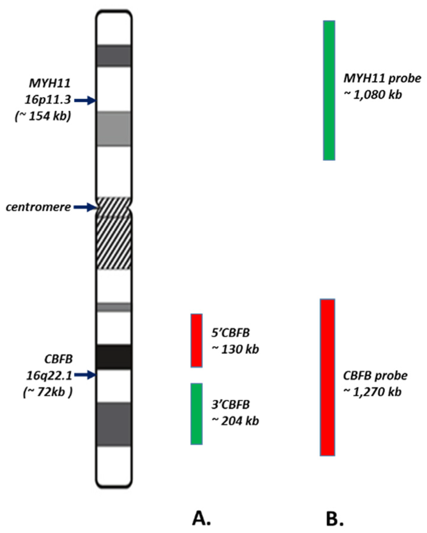 Cancers 13 05354 g001 Cancers 13 05354 g001