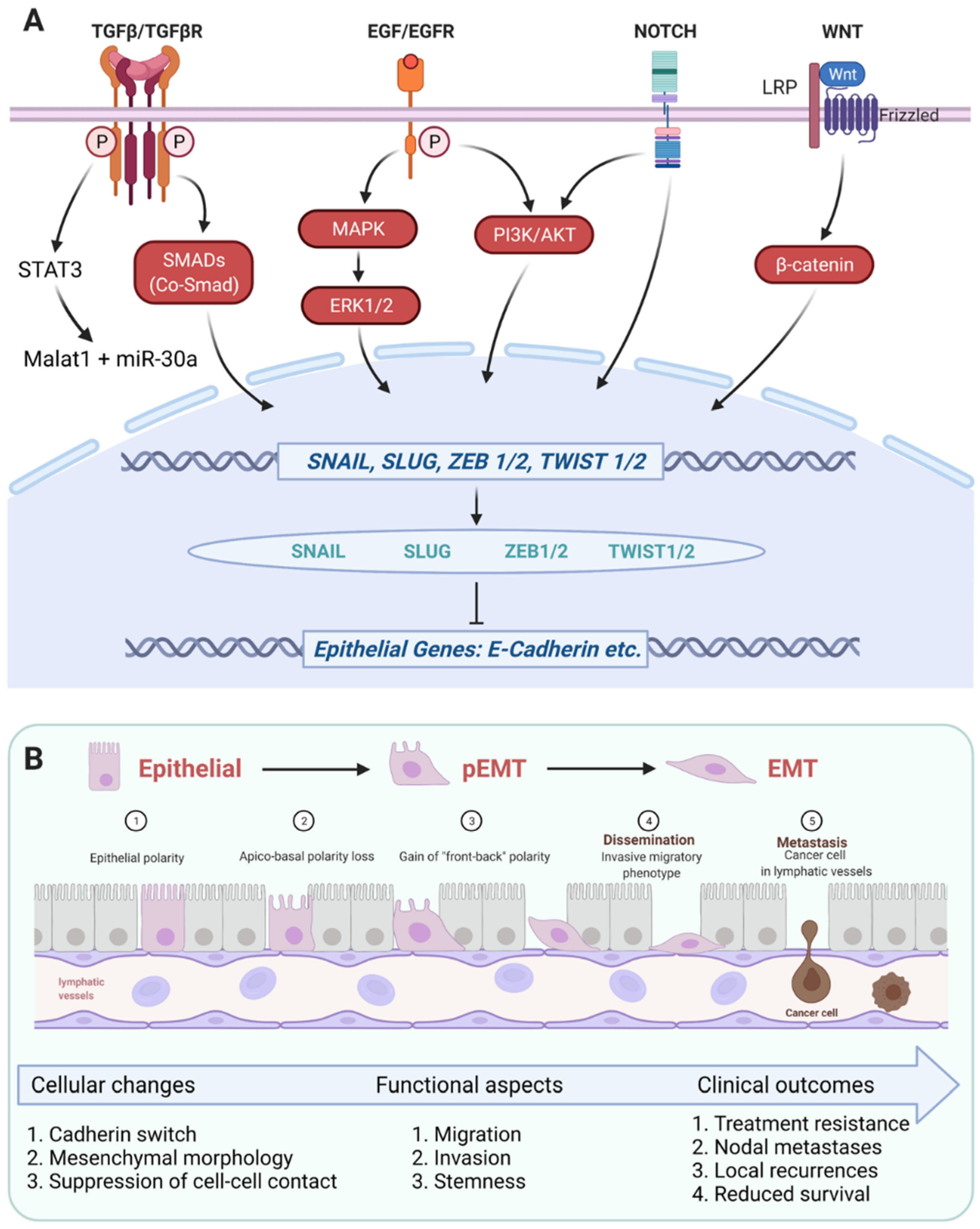 Cancers 13 05355 g002