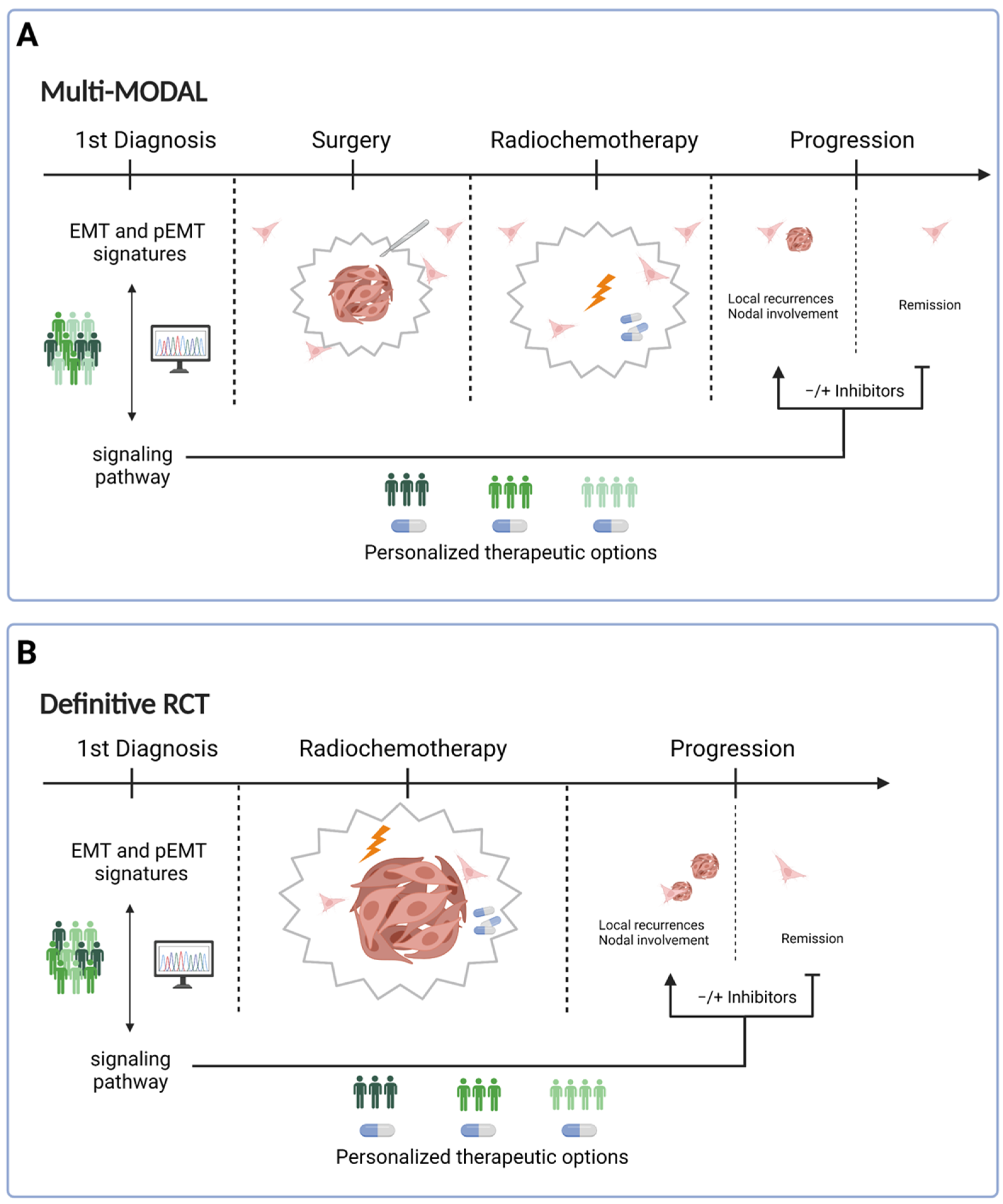 Cancers 13 05355 g003