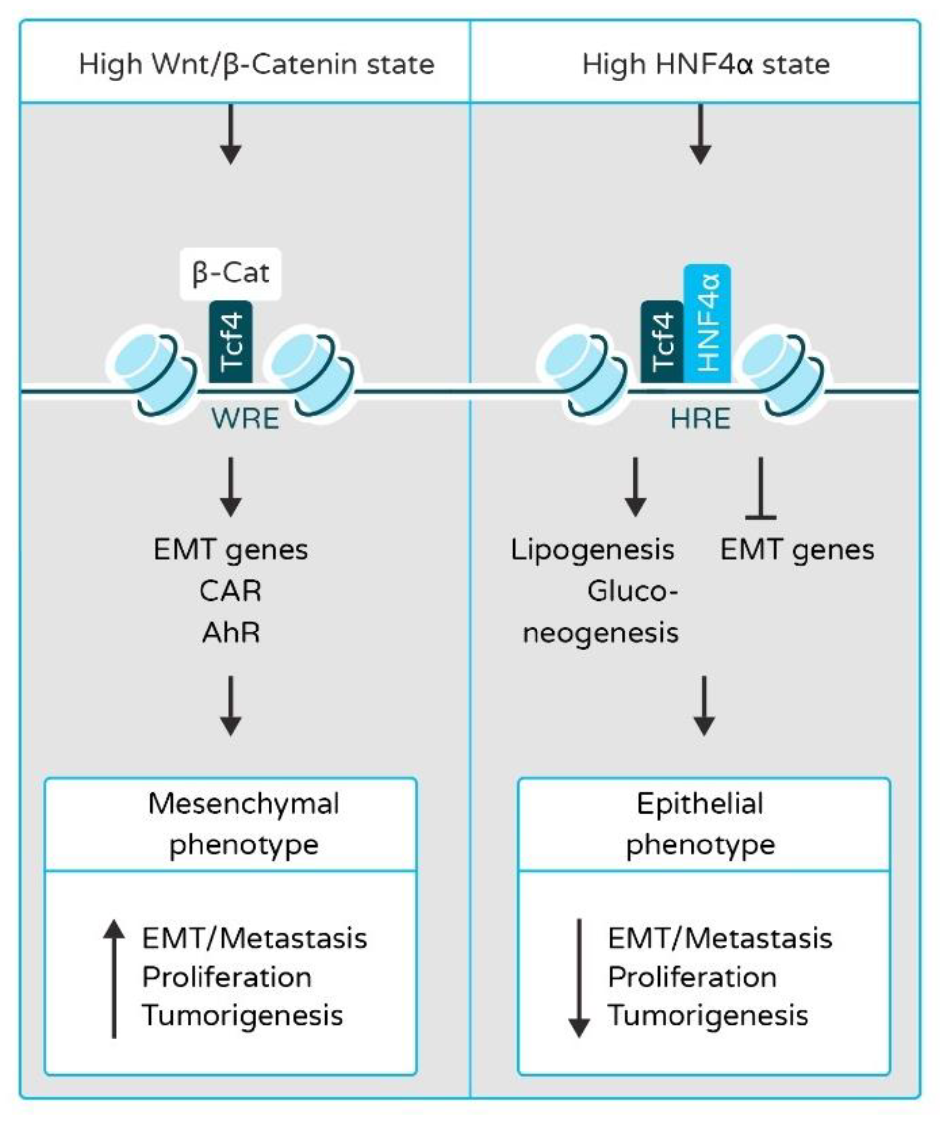 Cancers 13 05357 g002 Cancers 13 05357 g002