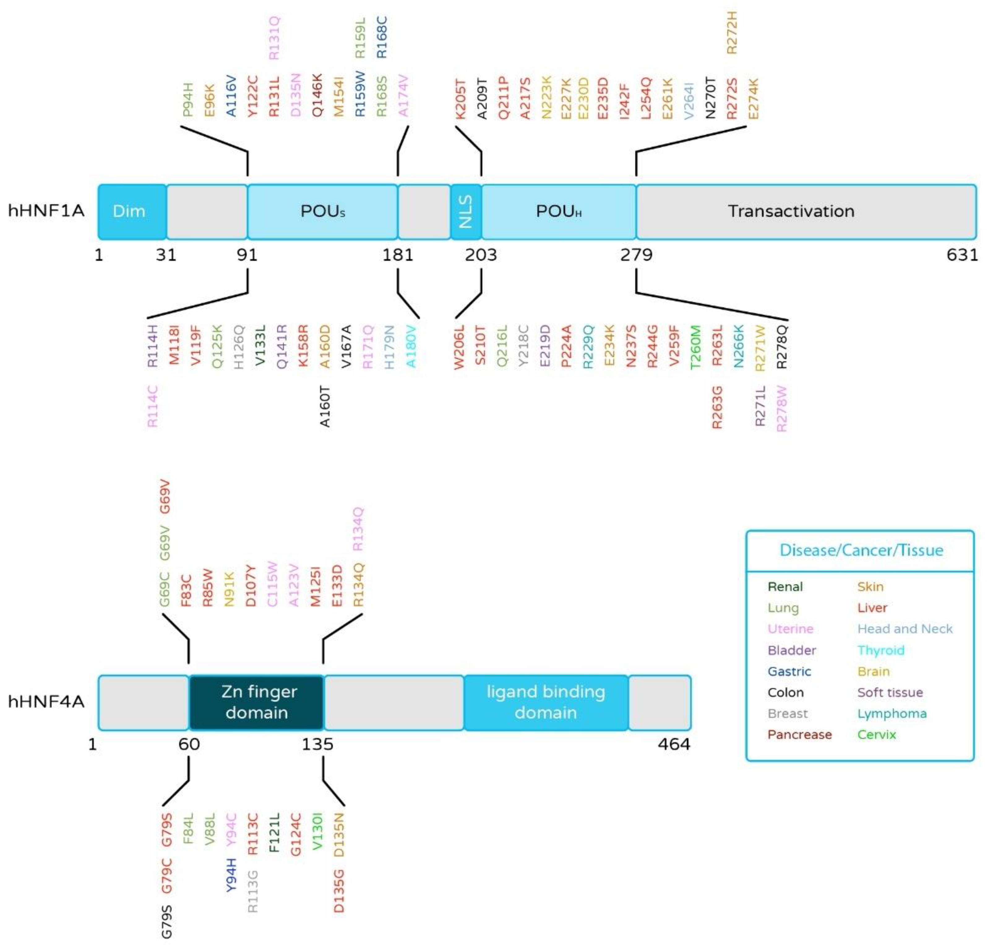Cancers 13 05357 g003 Cancers 13 05357 g003
