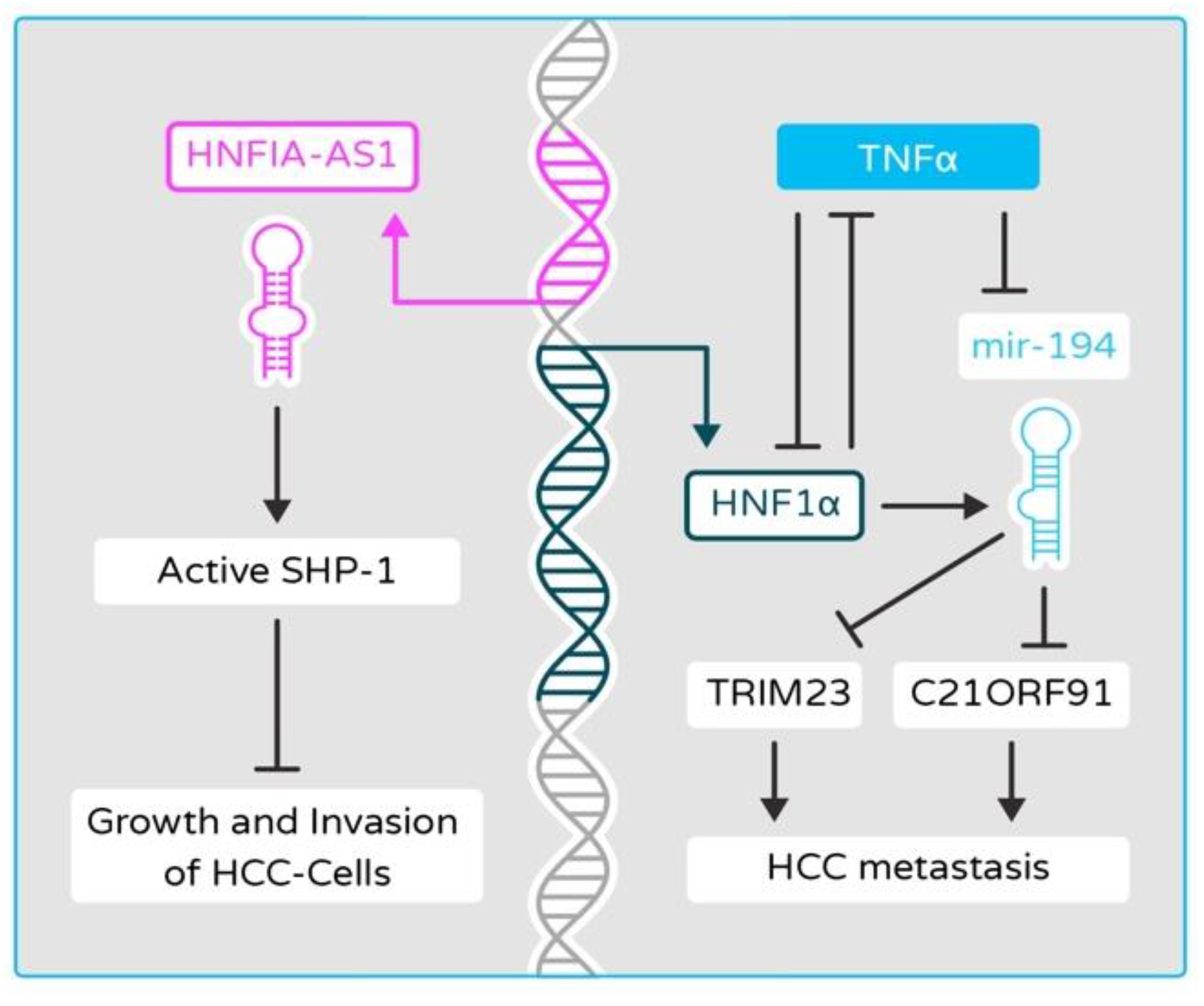 Cancers 13 05357 g004 Cancers 13 05357 g004