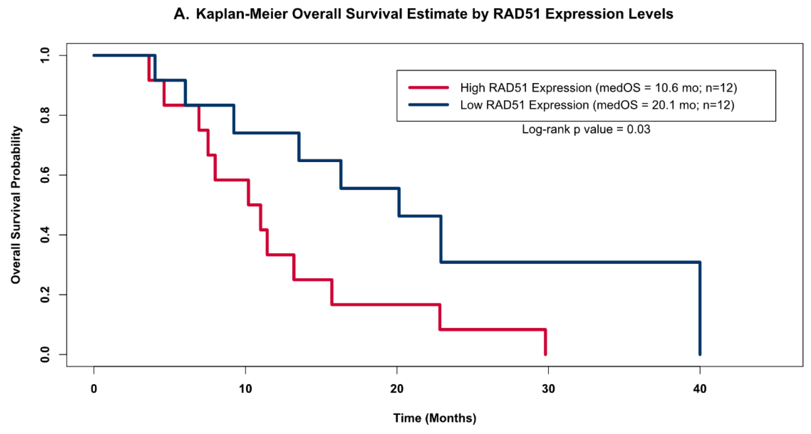 Cancers 13 05358 g004a