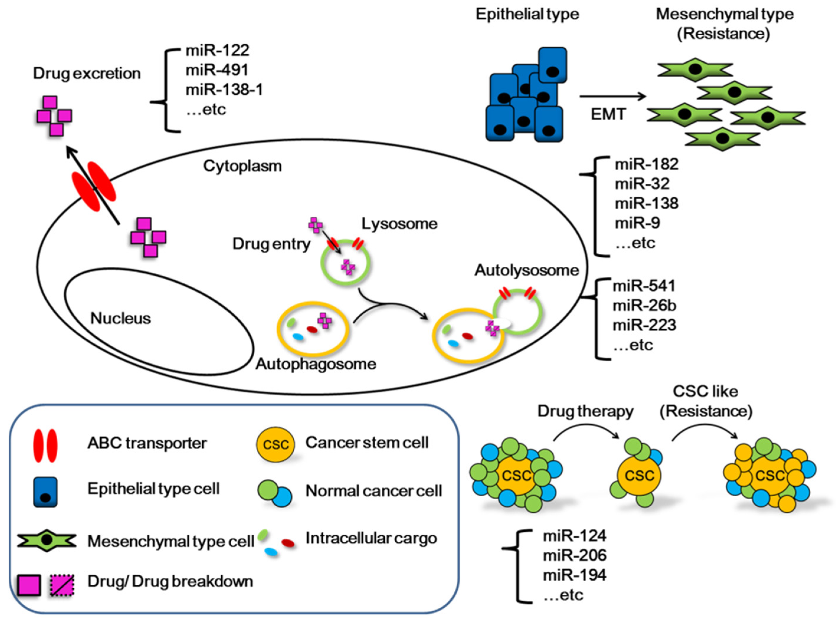 Cancers 13 05361 g002 550