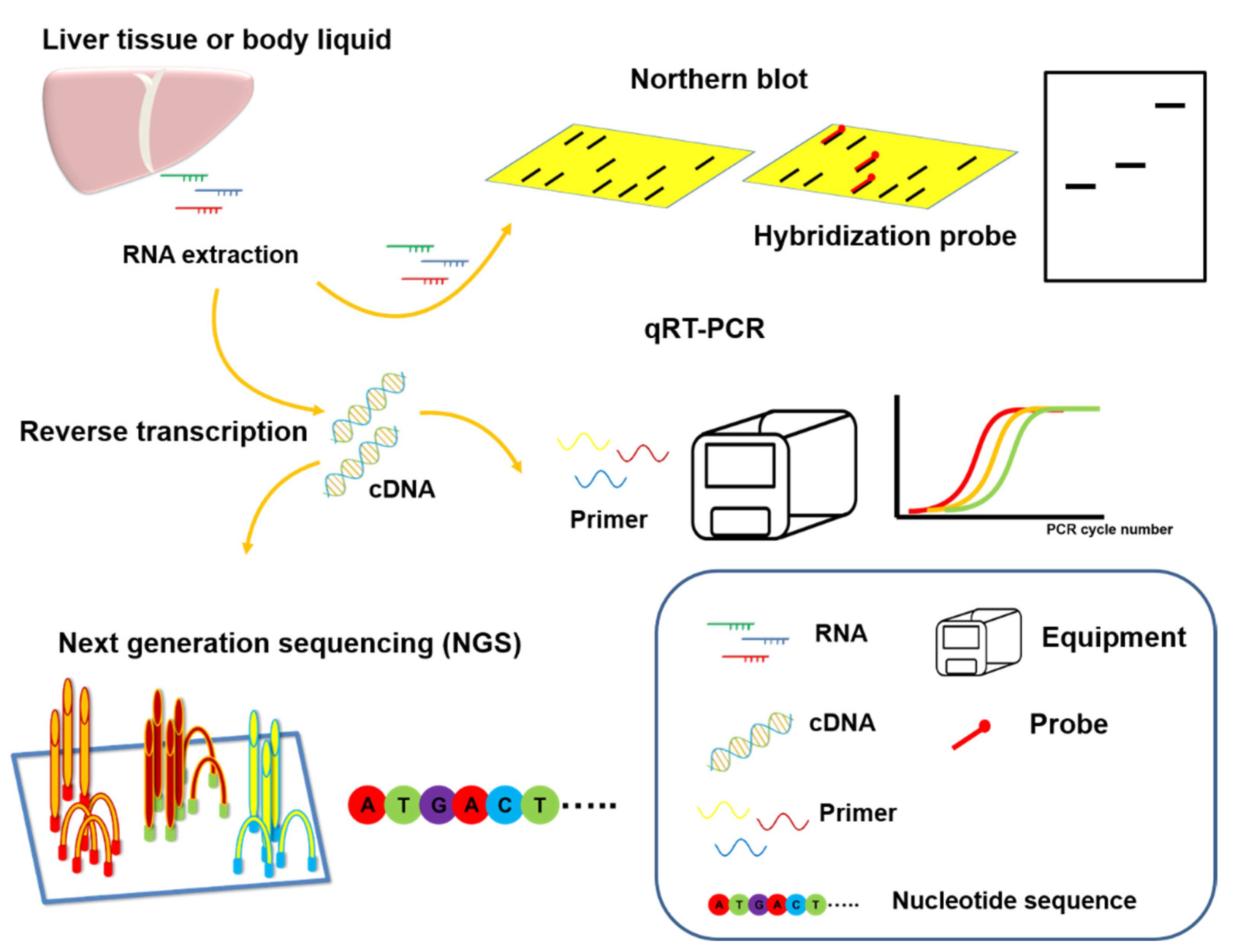 Cancers 13 05361 g003 550