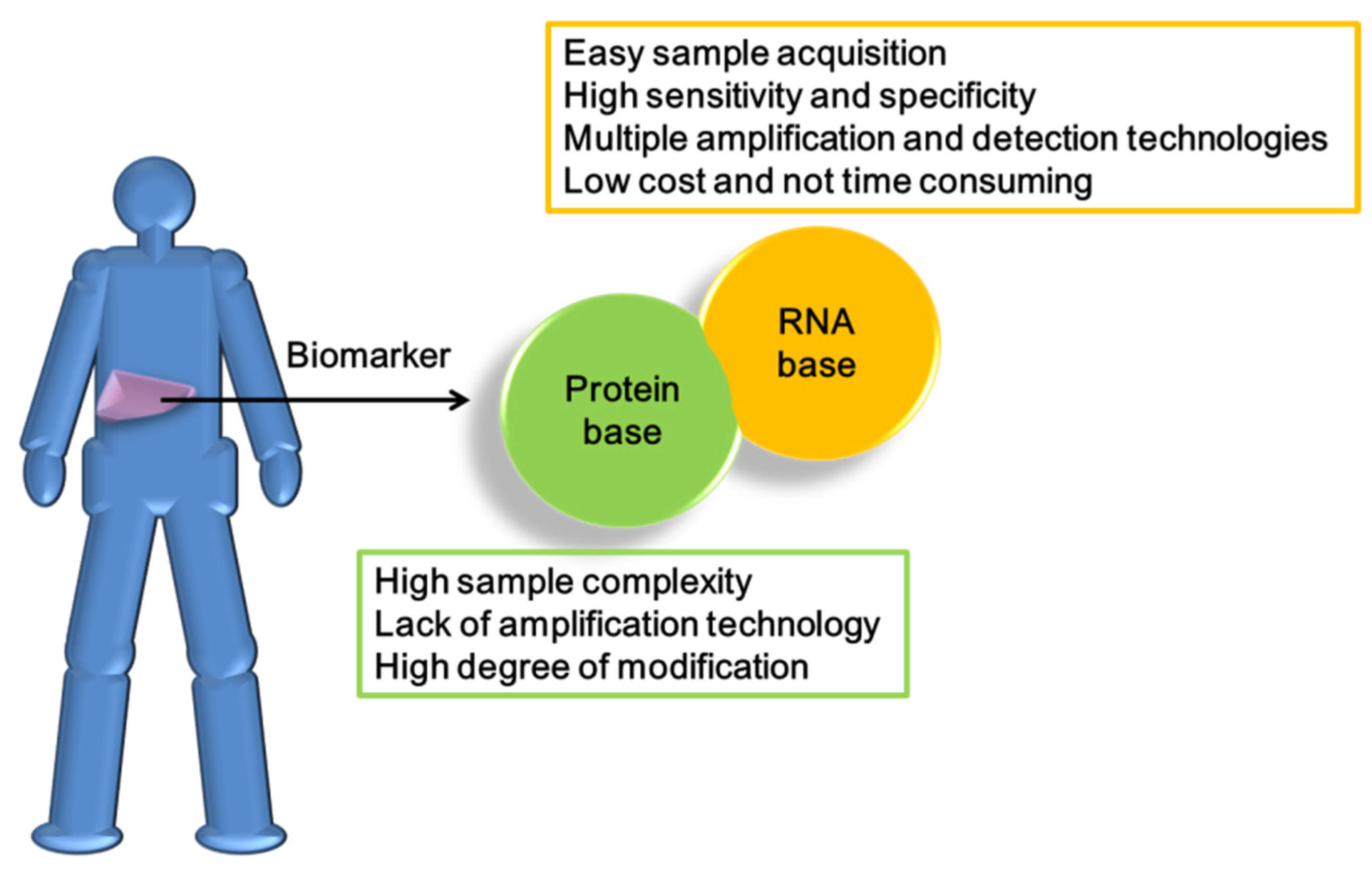Cancers 13 05361 g004 550