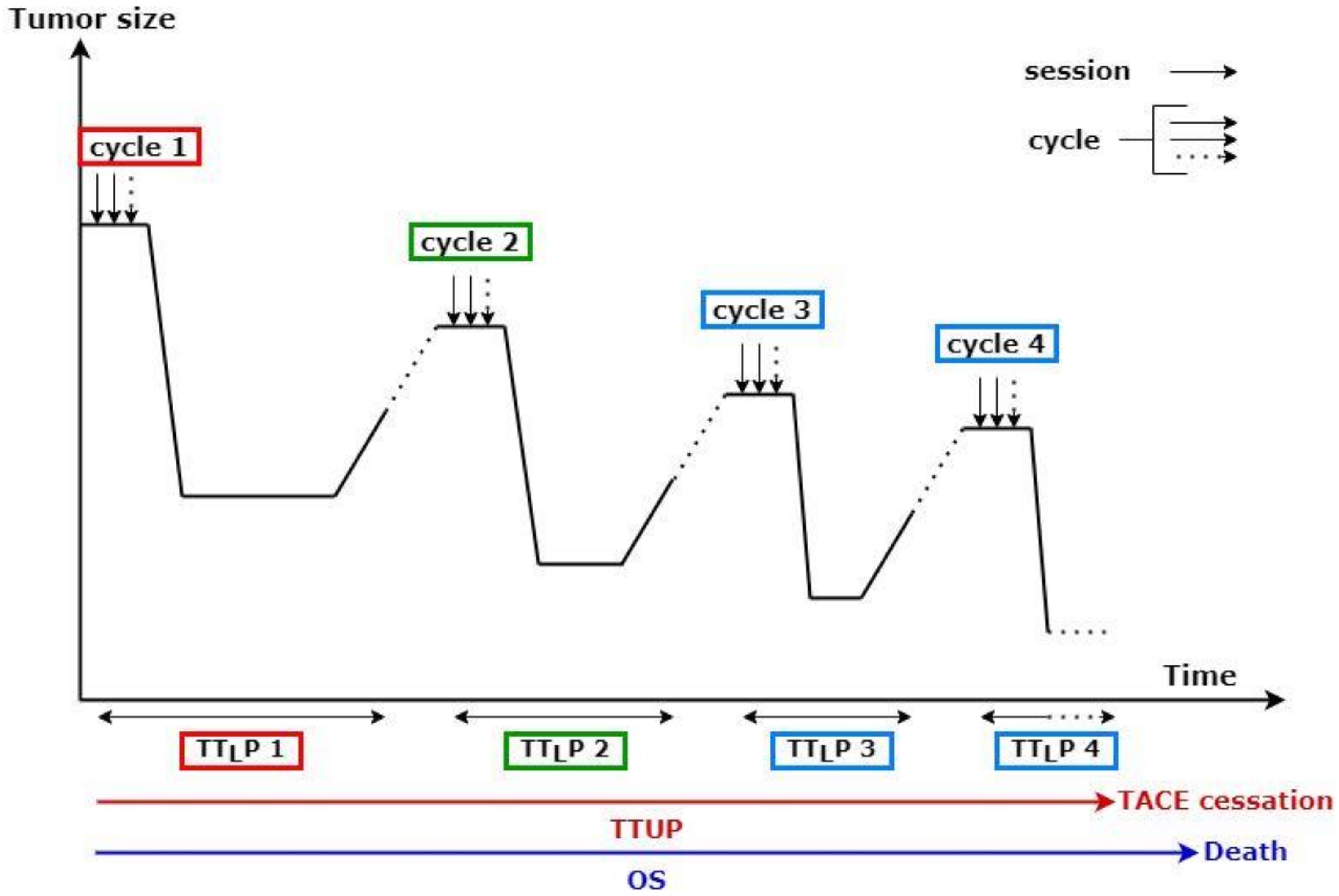Cancers 13 05366 g001