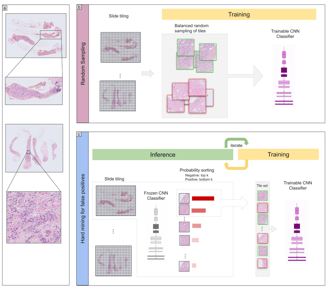 Cancers 13 05368 g001 550