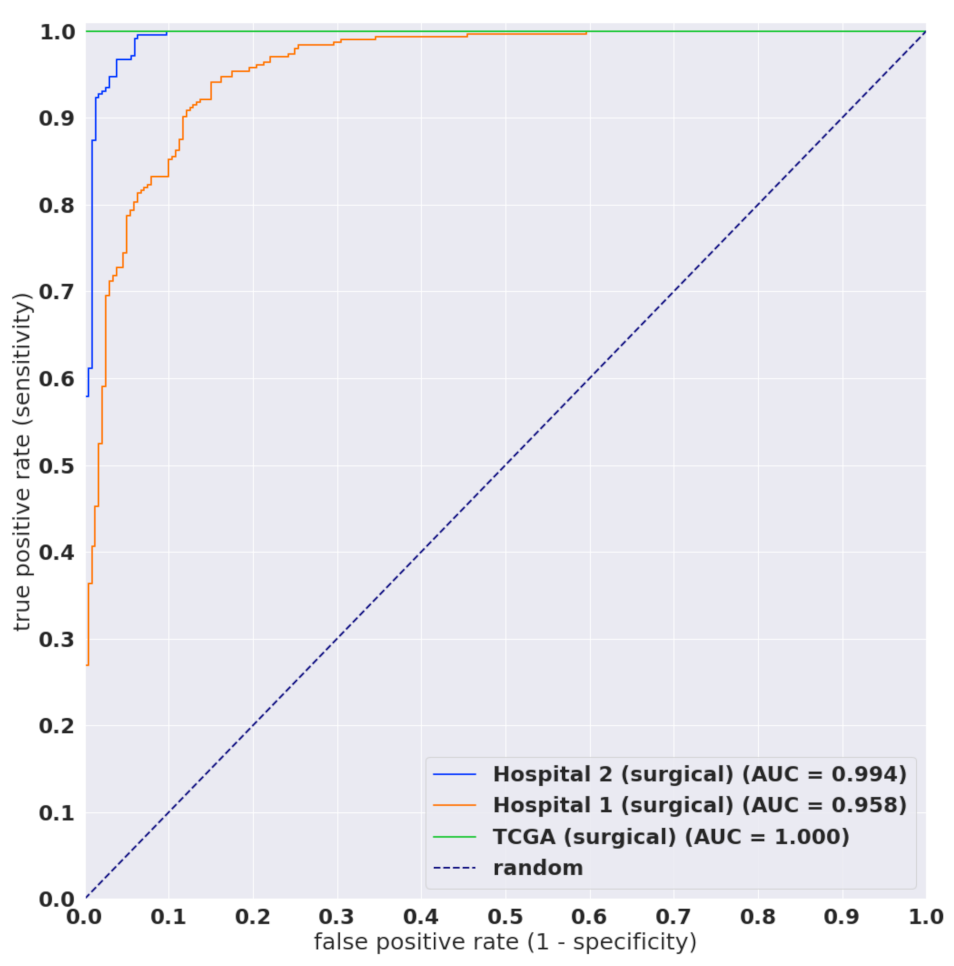 Cancers 13 05368 g003 550