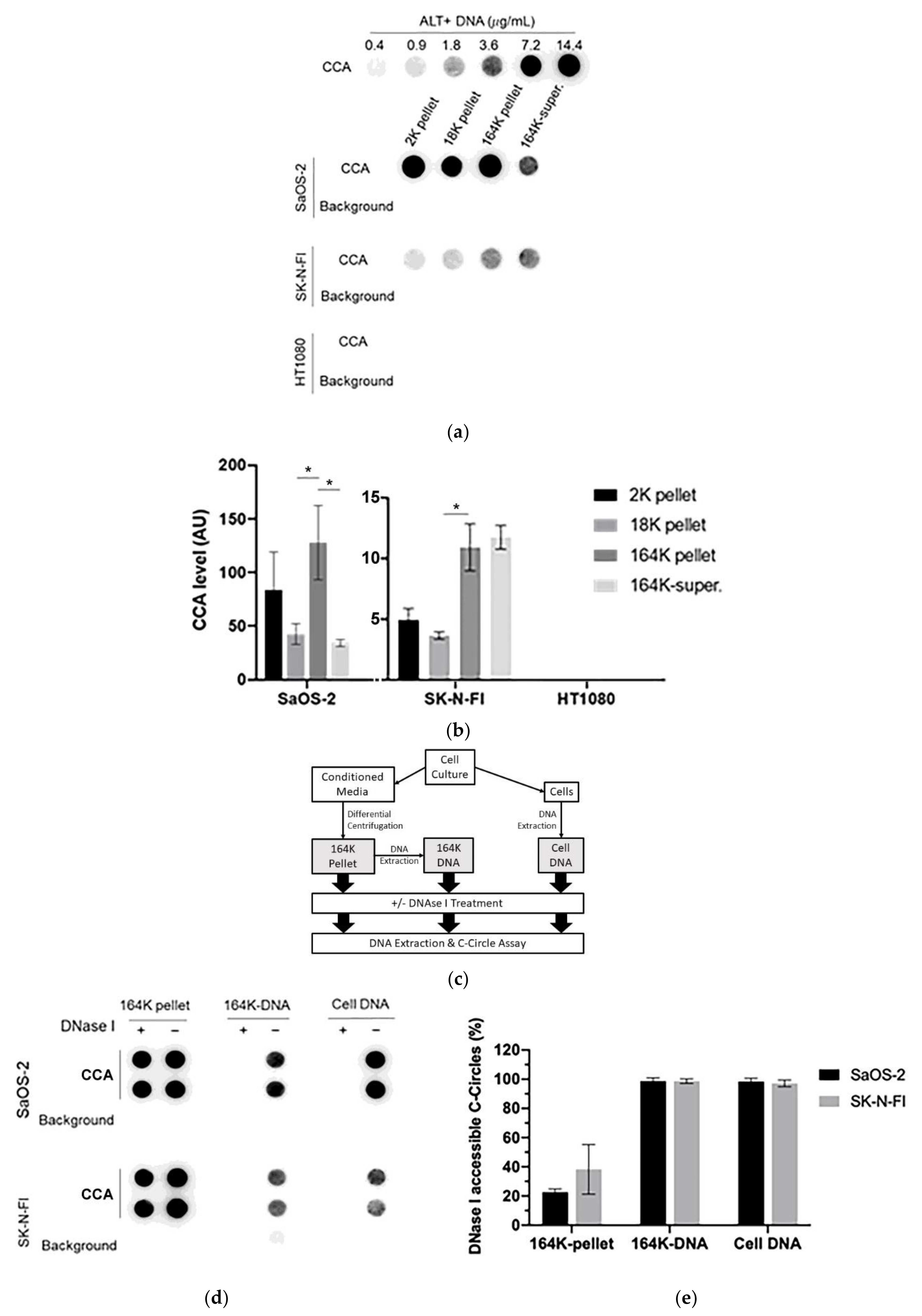 Cancers 13 05369 g002