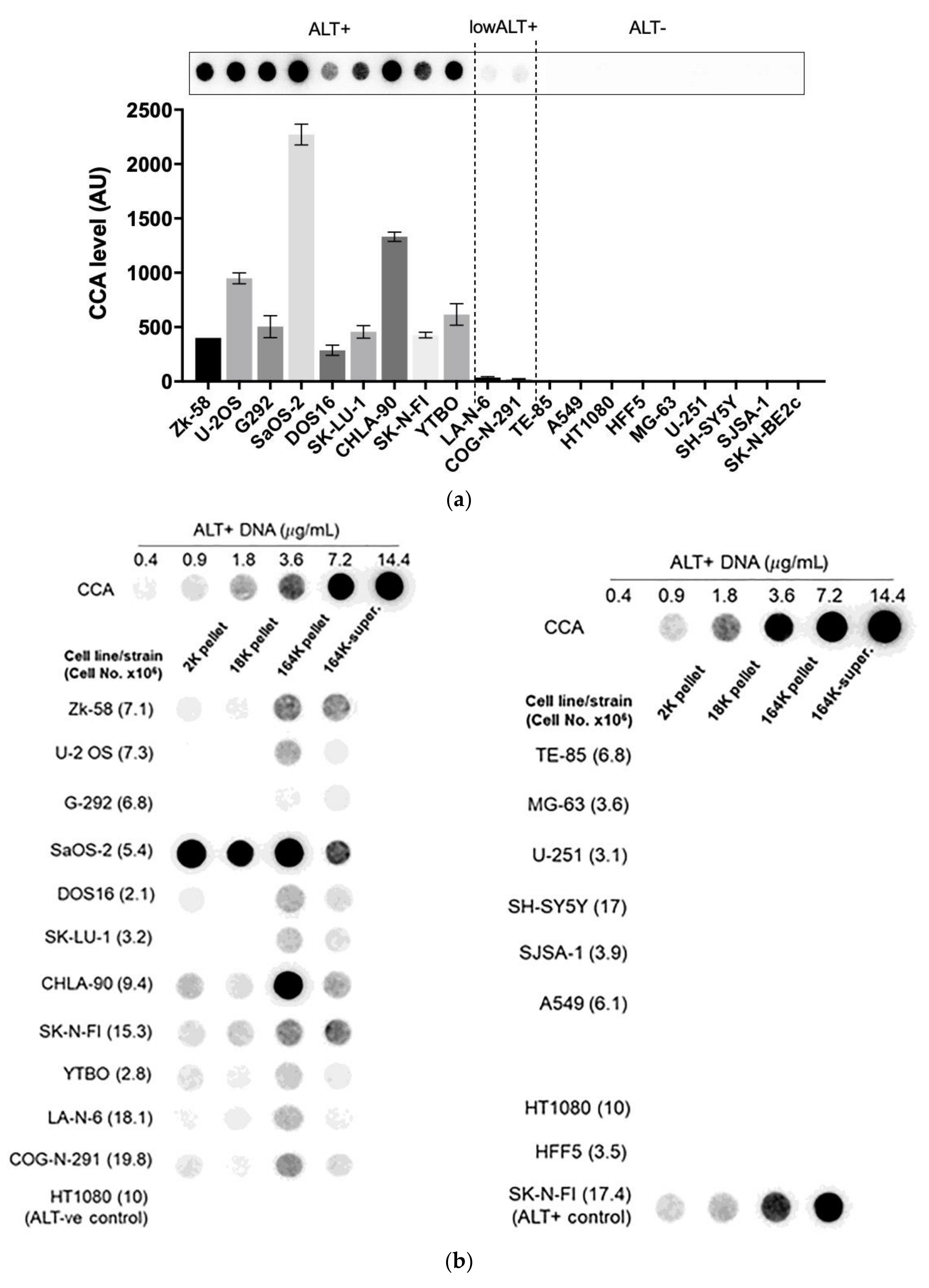 Cancers 13 05369 g003a