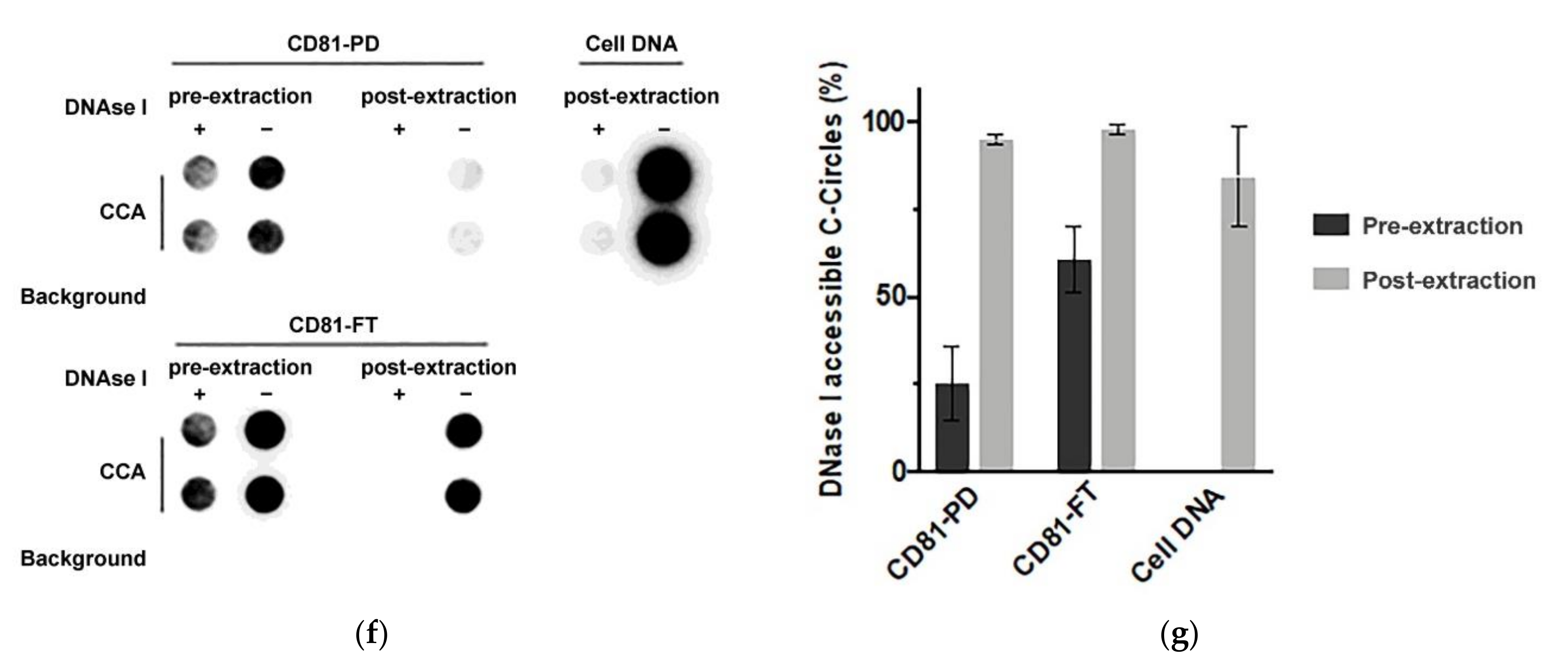 Cancers 13 05369 g005b