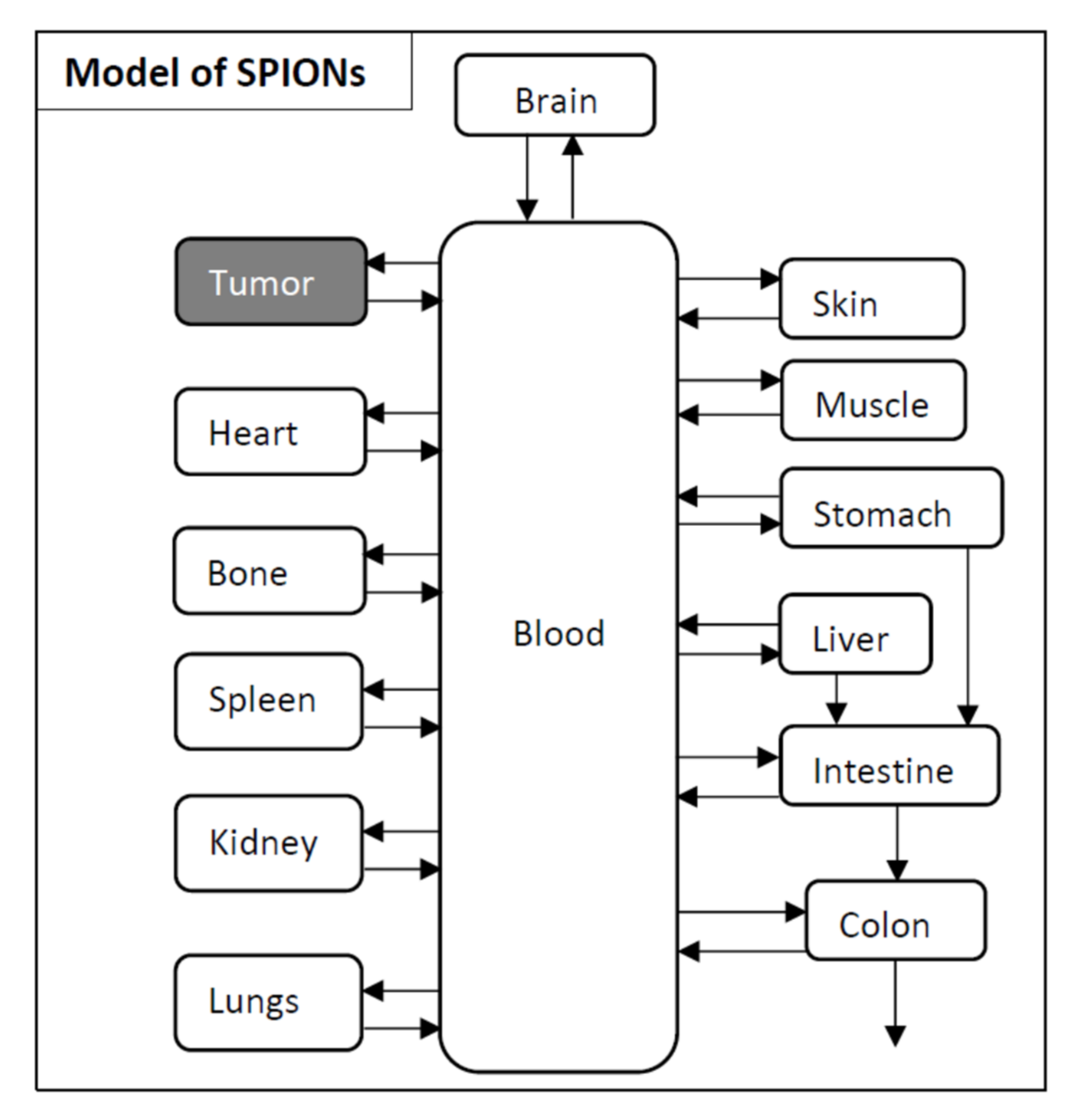 Cancers 13 05370 g008 Cancers 13 05370 g008
