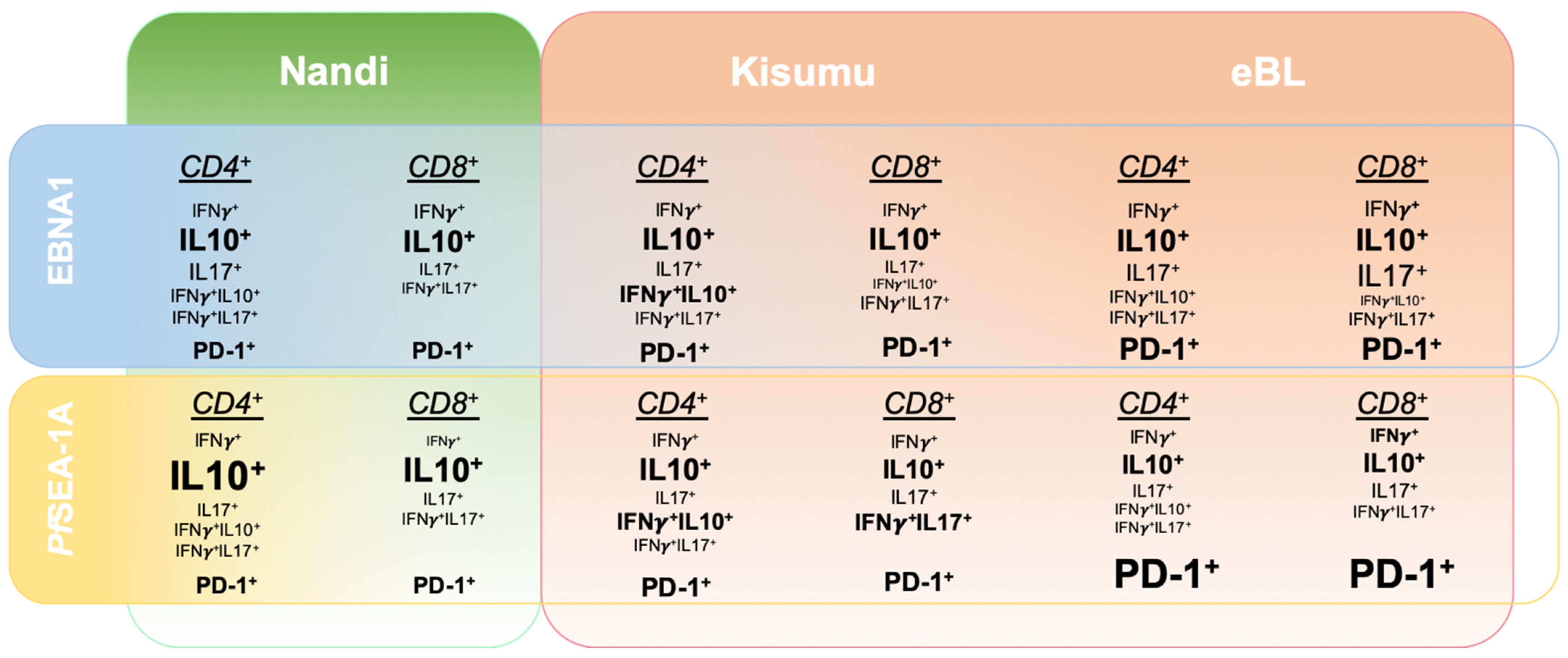 Cancers 13 05375 g008 Cancers 13 05375 g008