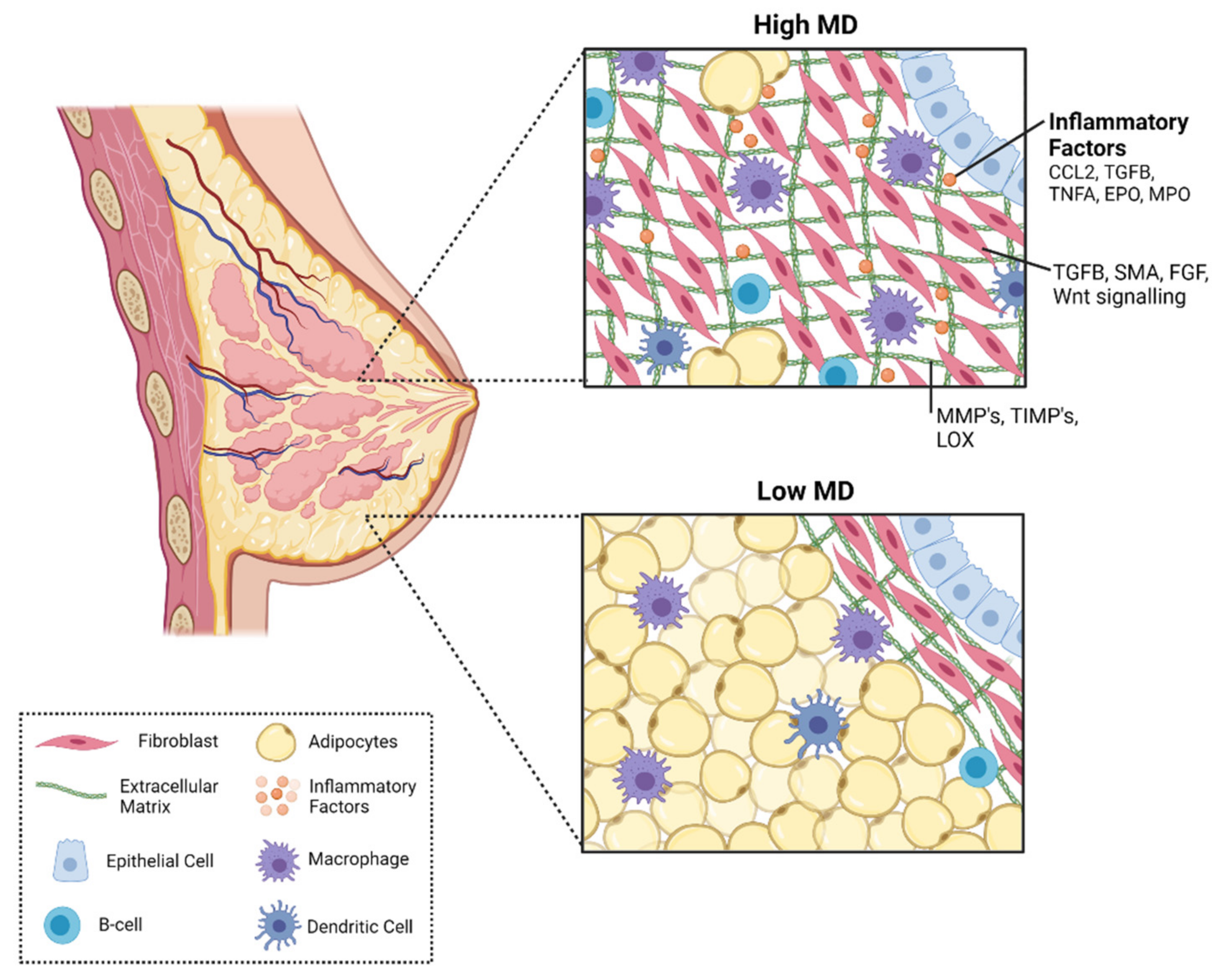 Cancers 13 05391 g002
