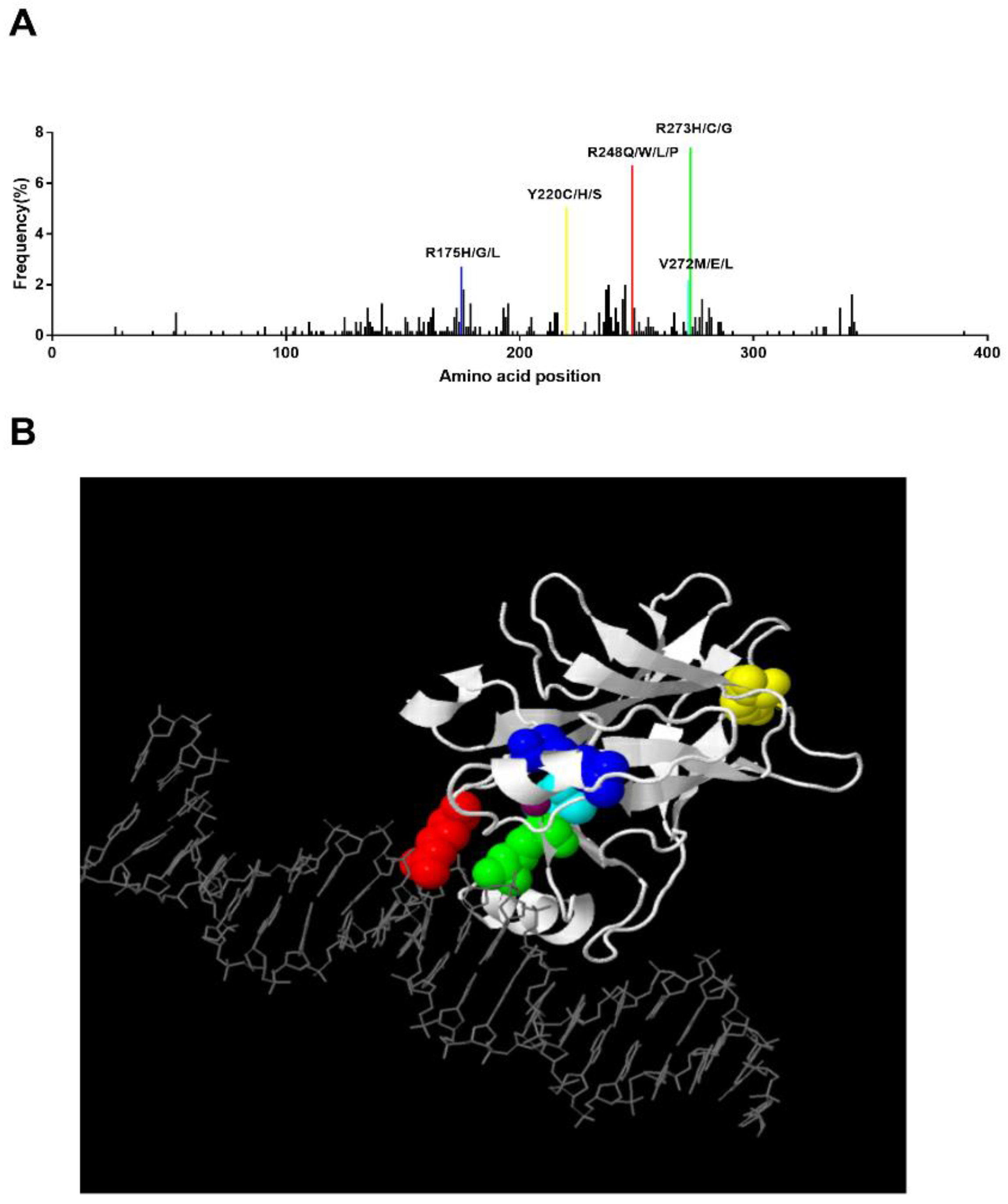 Cancers 13 05392 g002