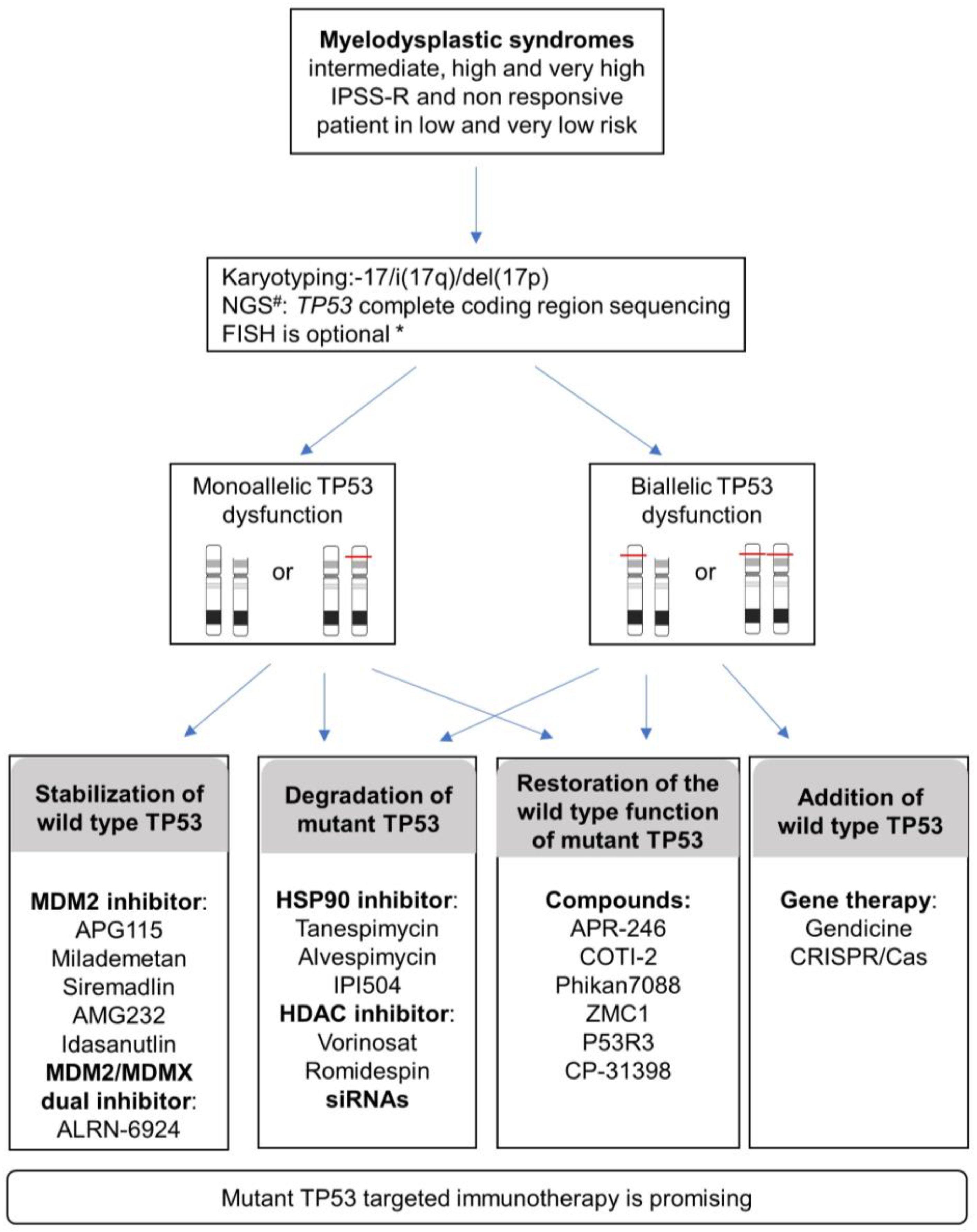 Cancers 13 05392 g003