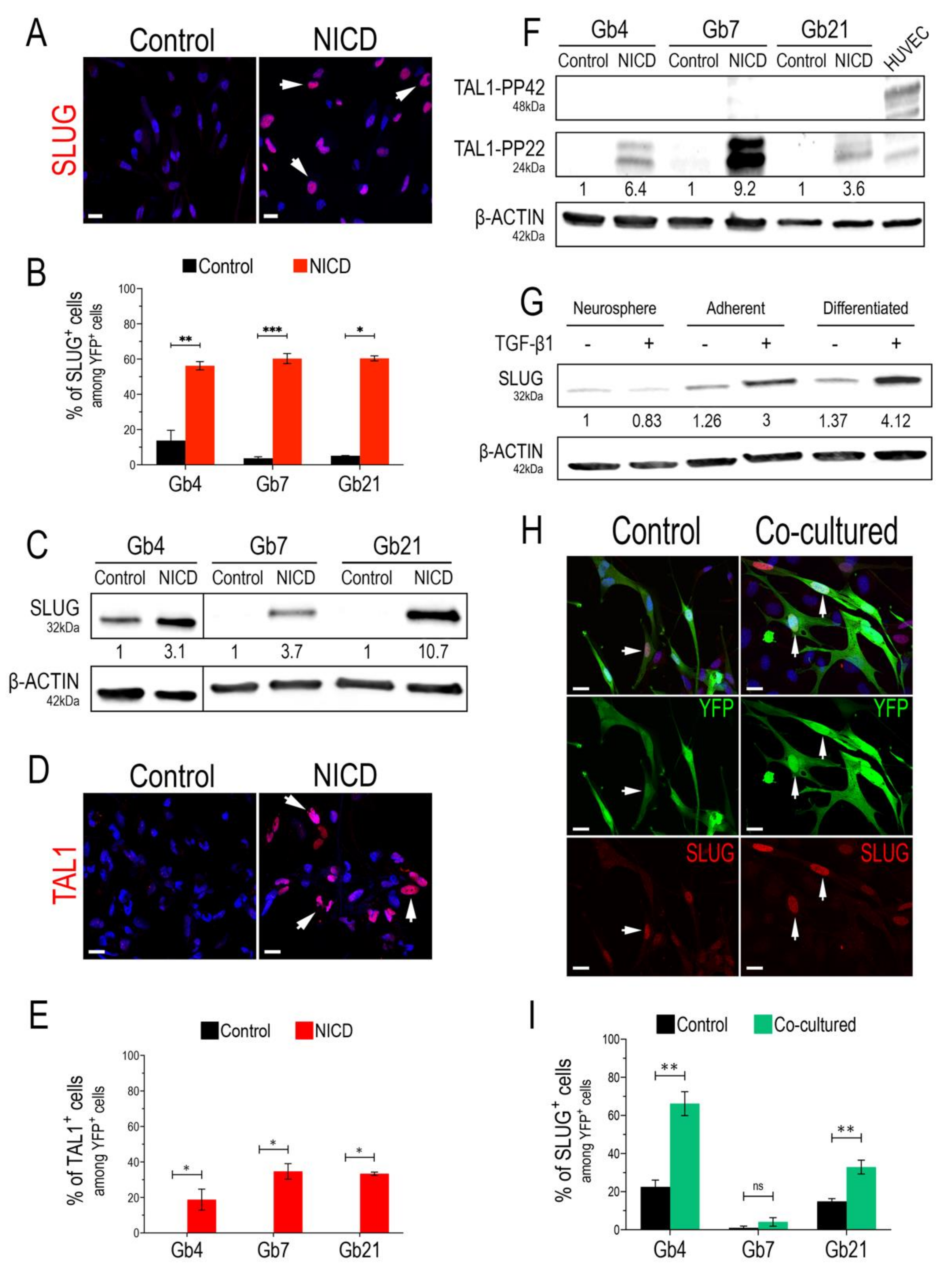 Cancers 13 05393 g001