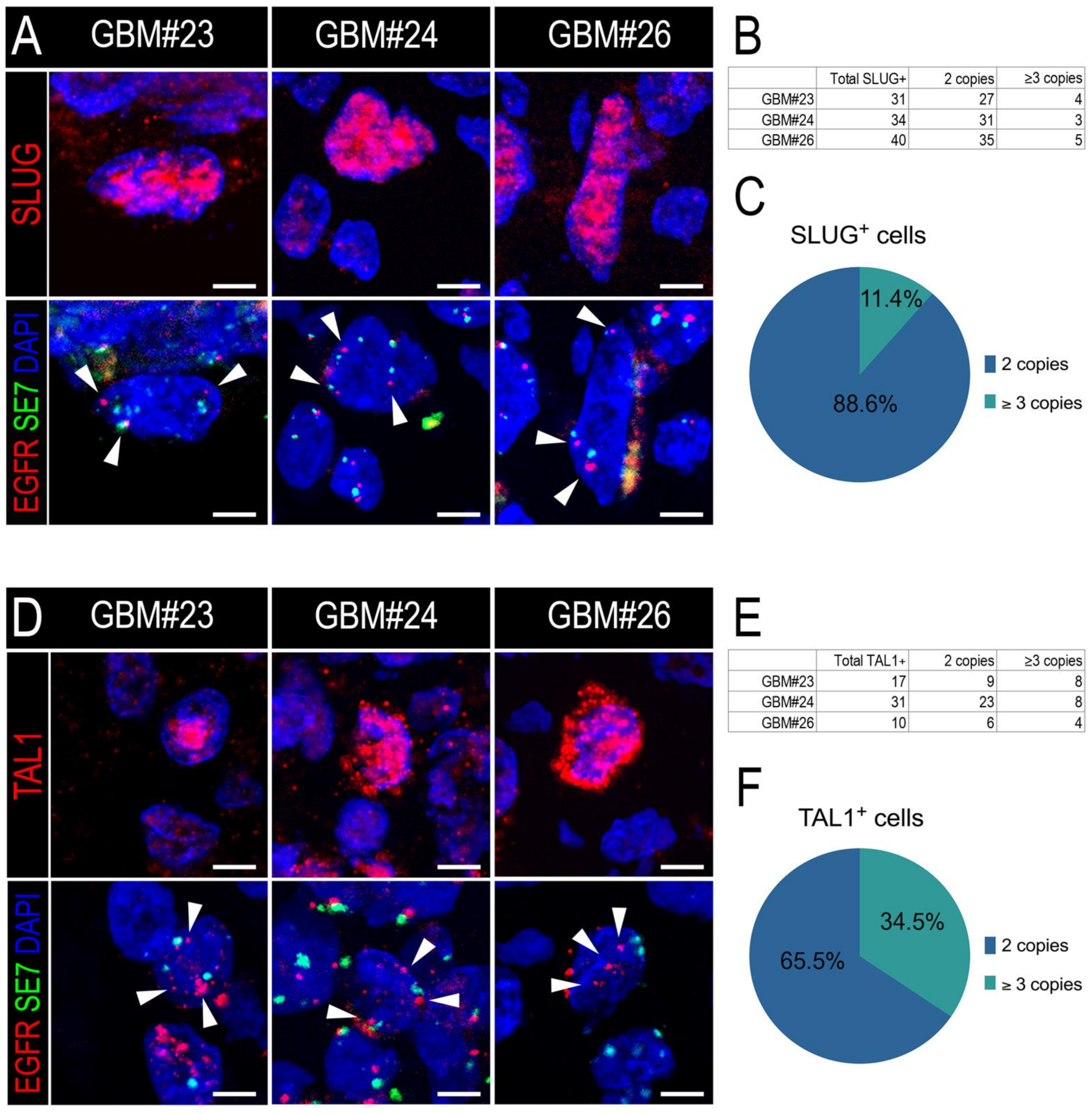 Cancers 13 05393 g005