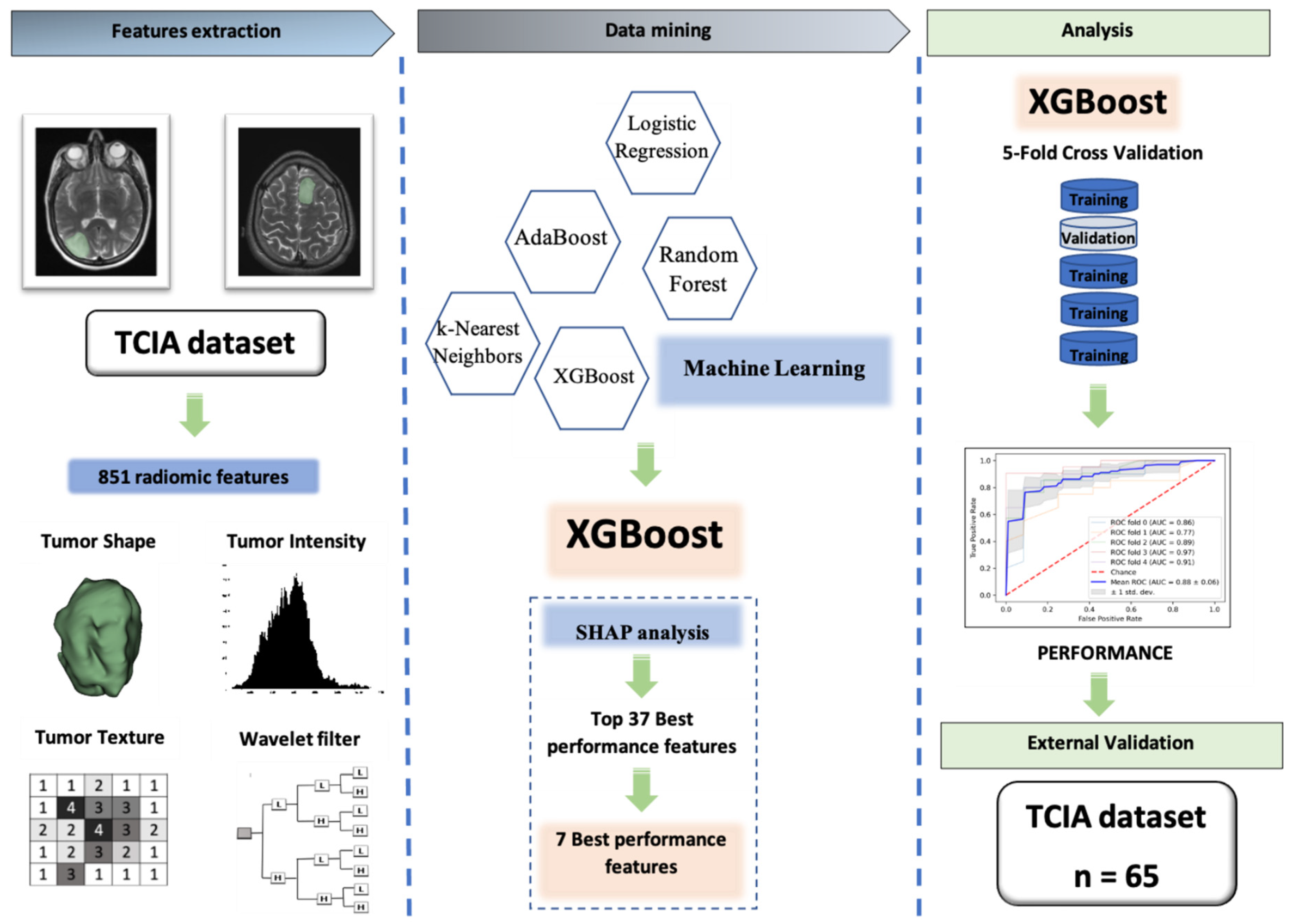 Cancers 13 05398 g004 550