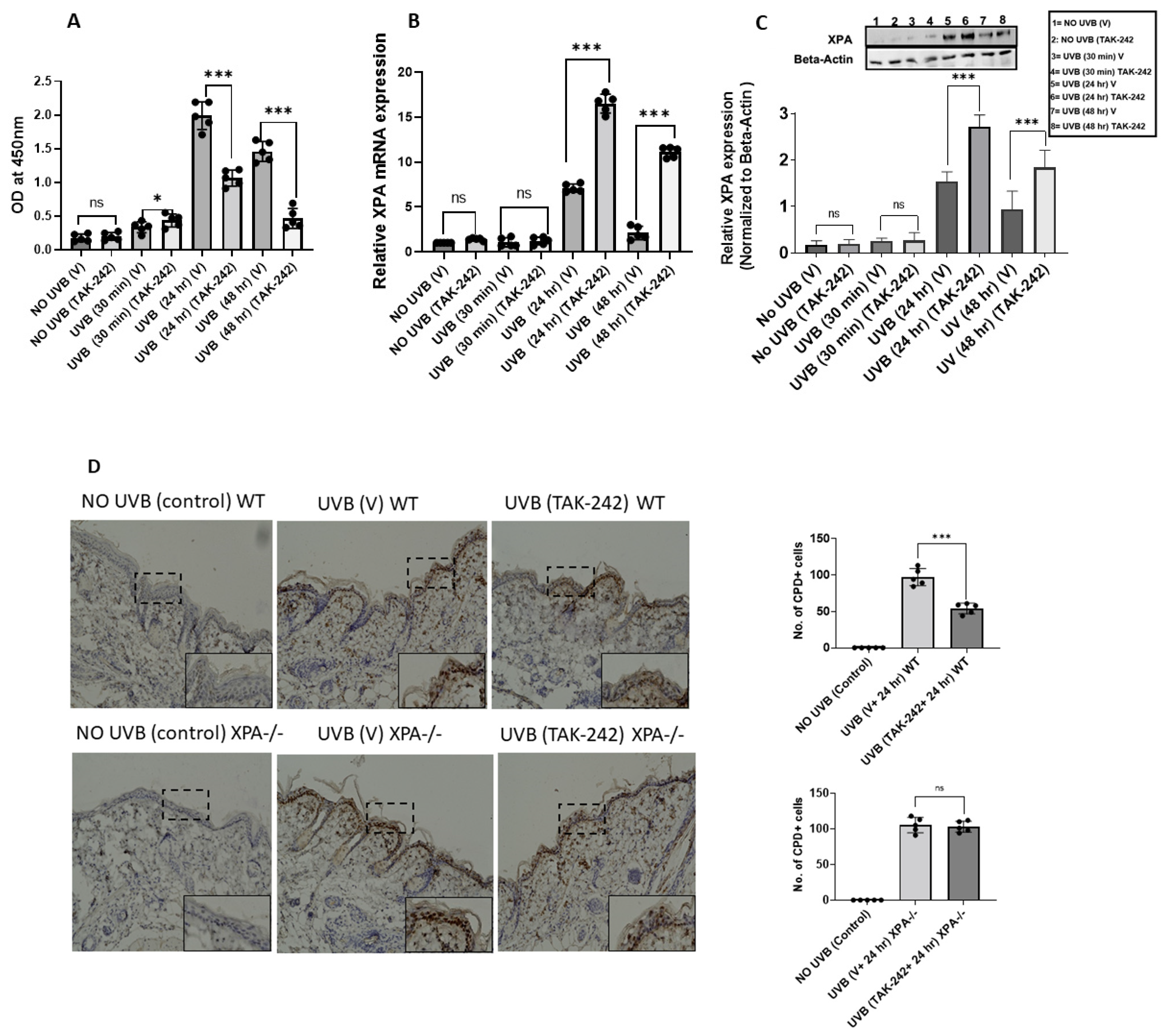 Cancers 13 05406 g001a Cancers 13 05406 g001a