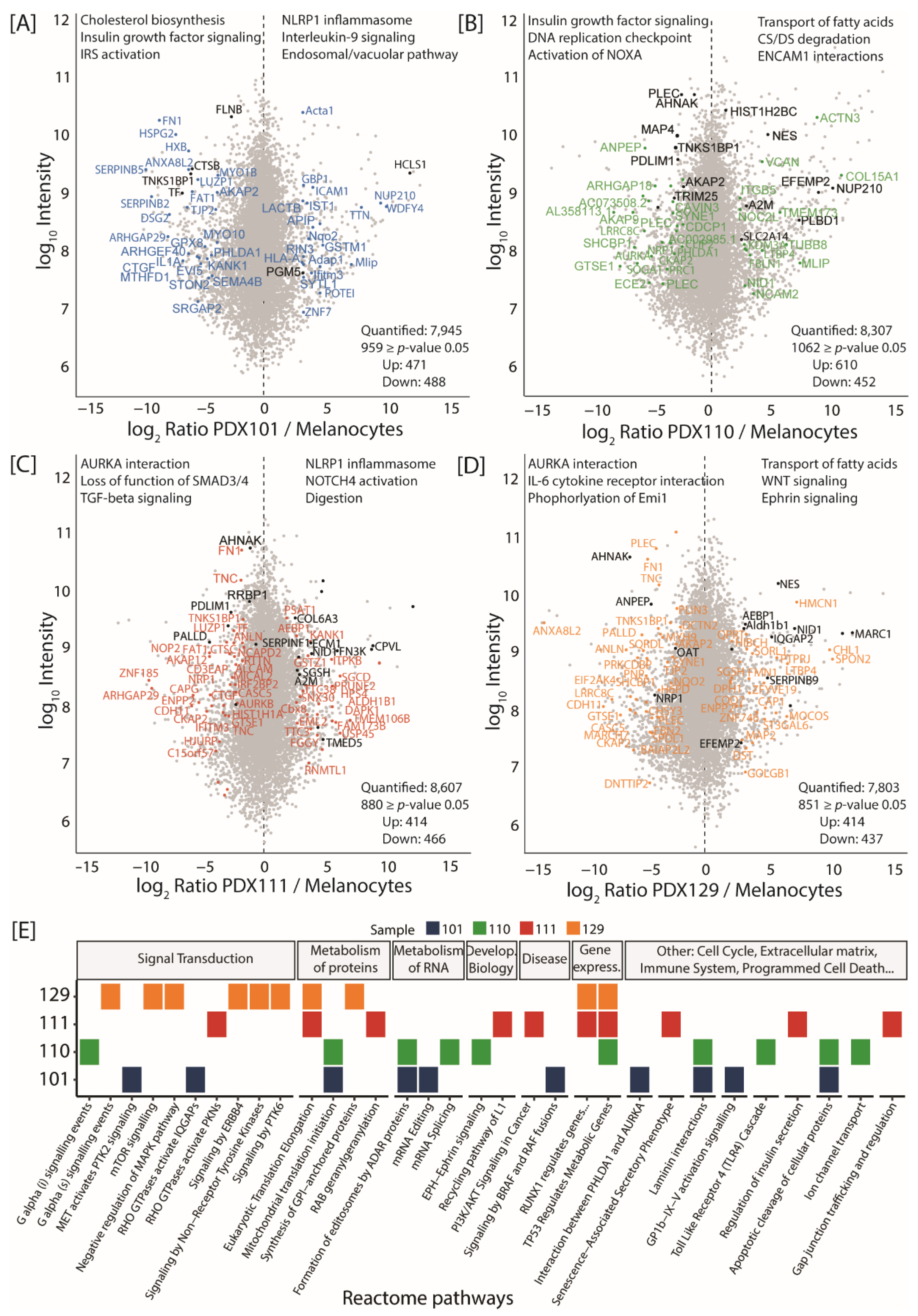 Cancers 13 05411 g002 550