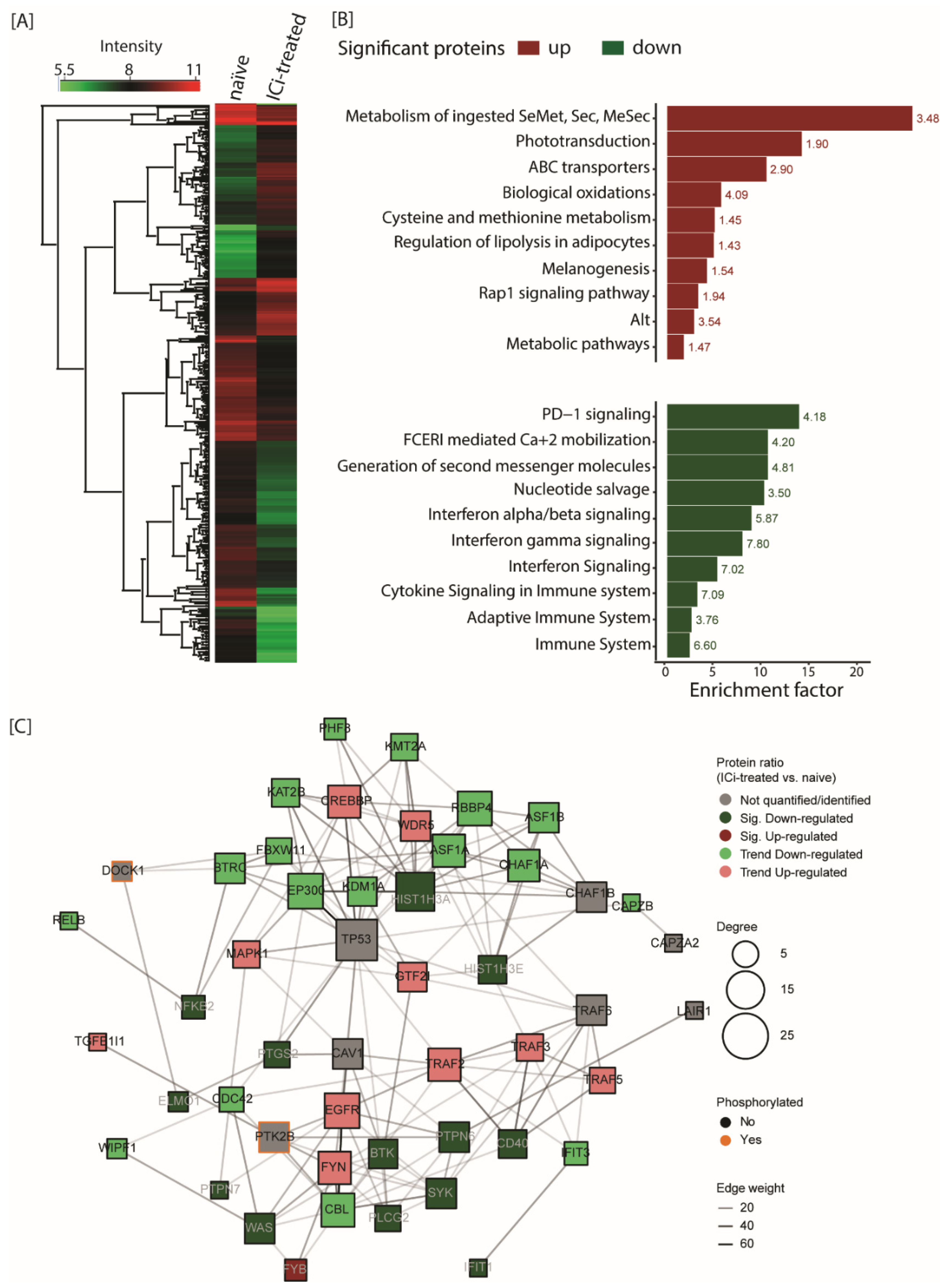 Cancers 13 05411 g004 550