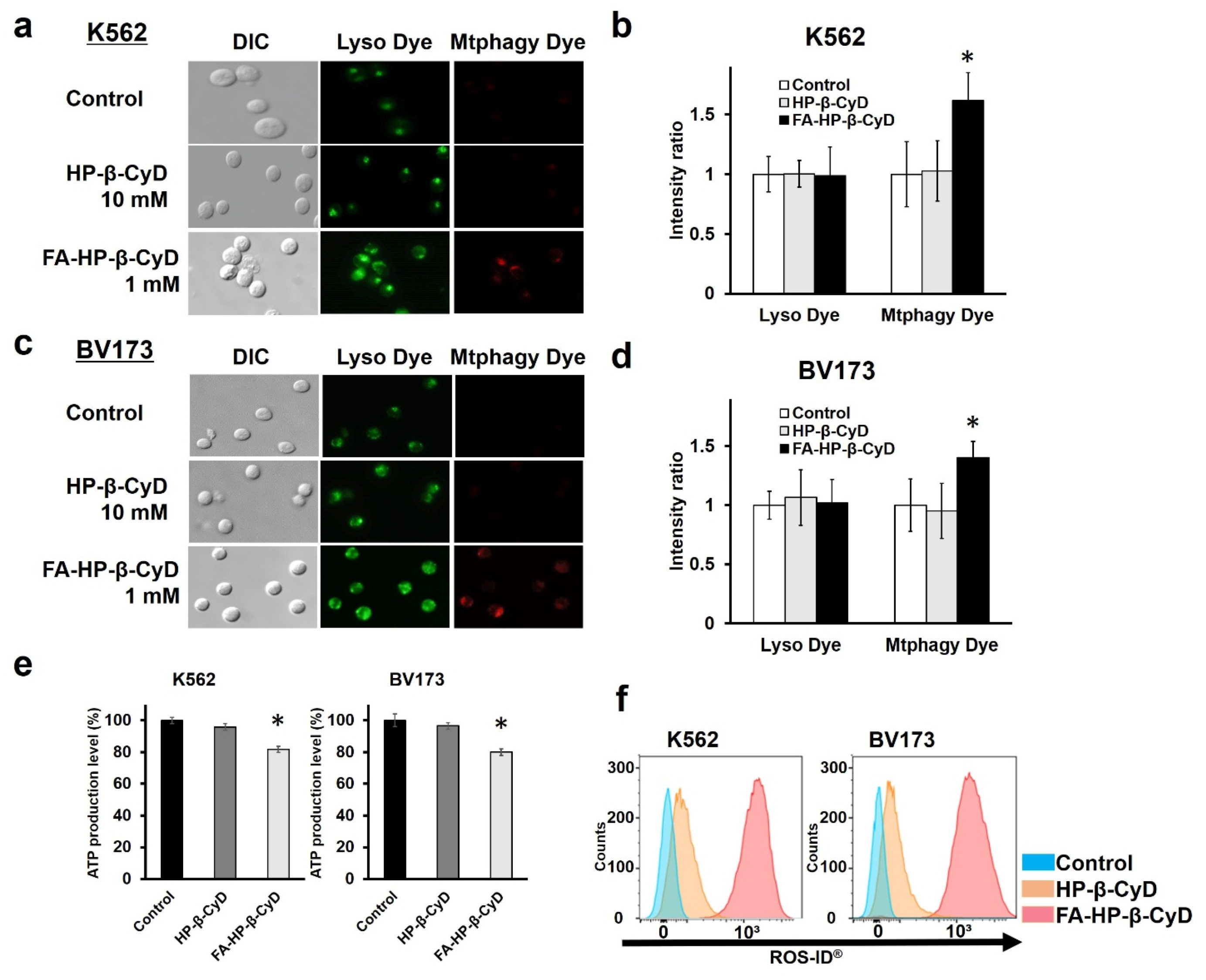Cancers 13 05413 g007 550