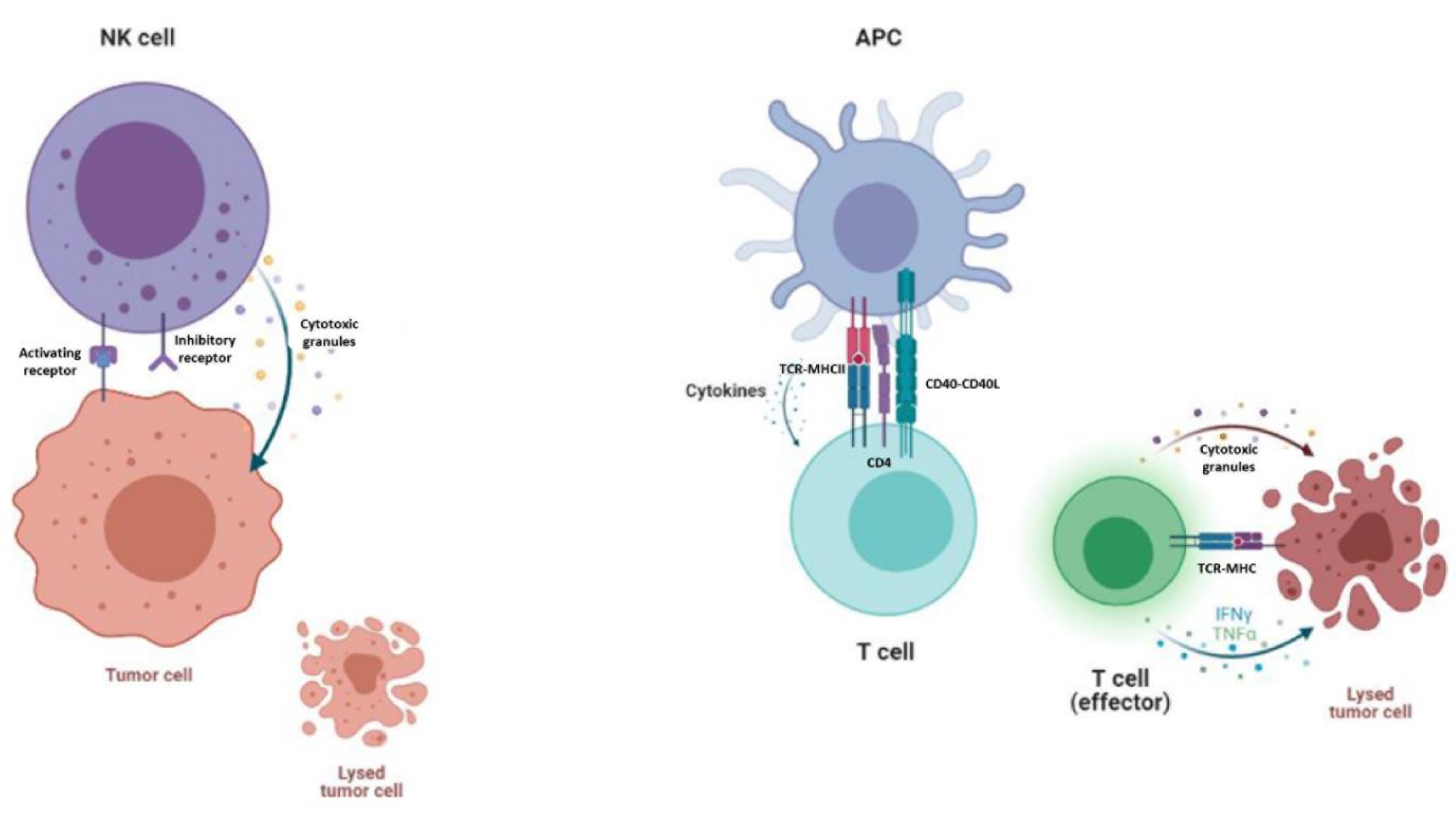 Cancers 13 05418 g002 Cancers 13 05418 g002
