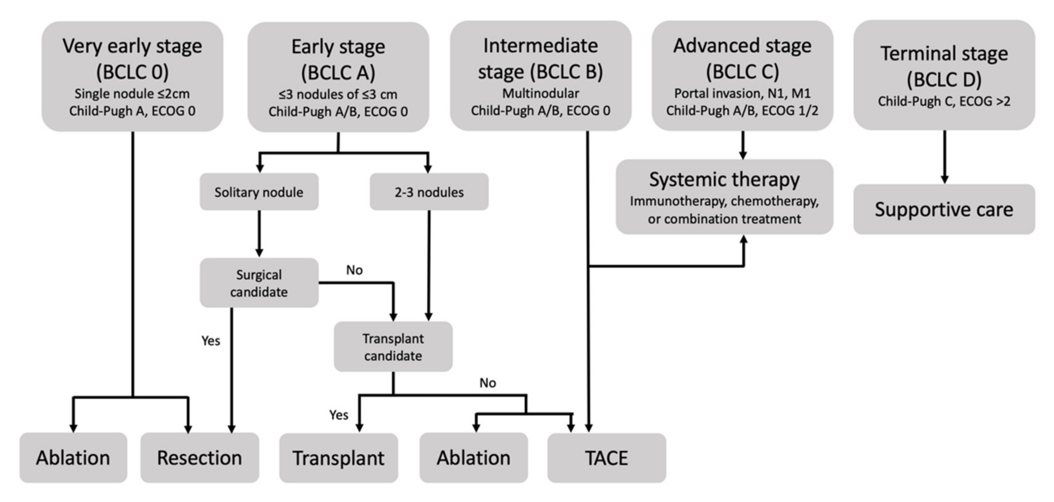 Cancers 13 05430 g001 550