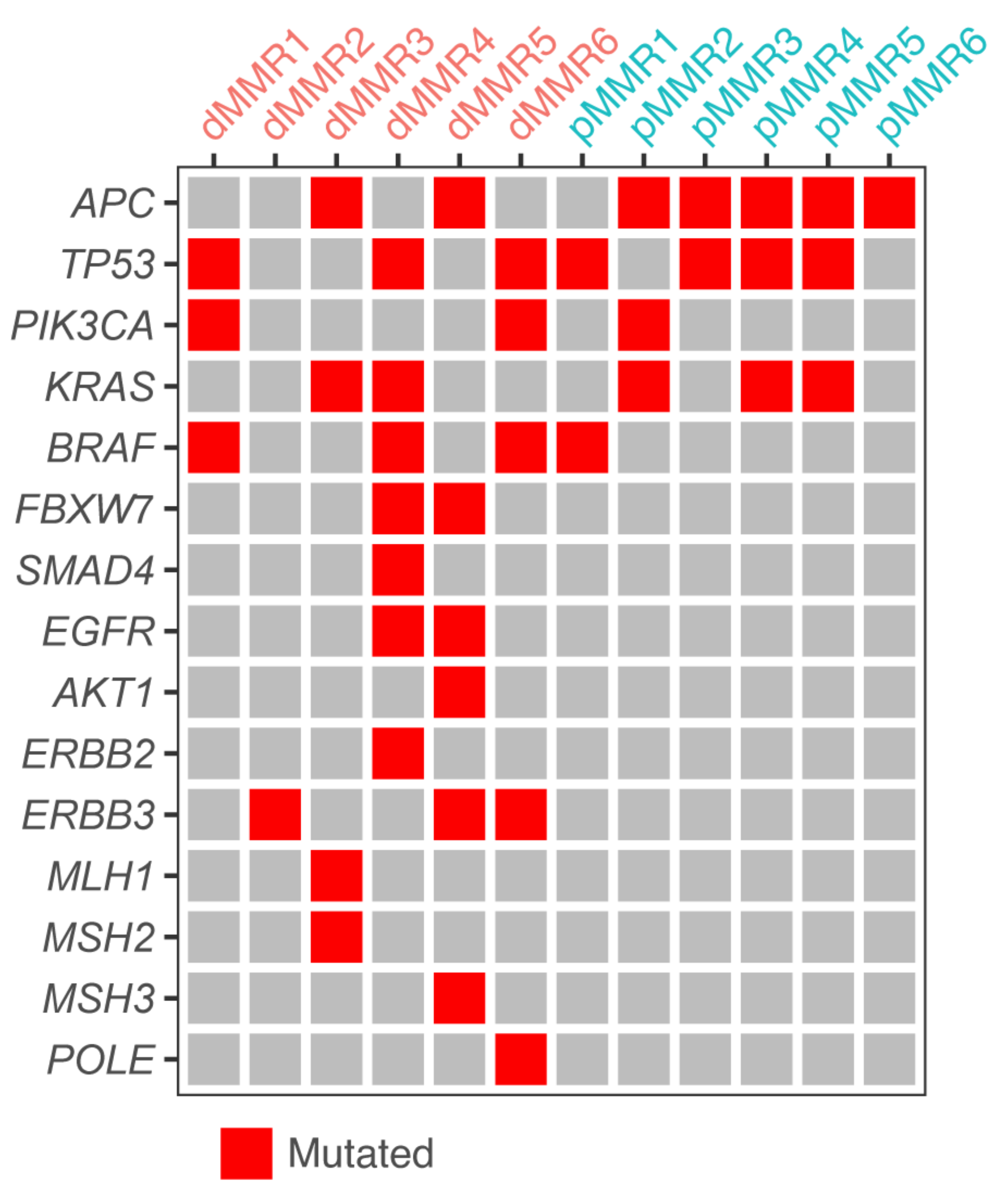 Cancers 13 05434 g002