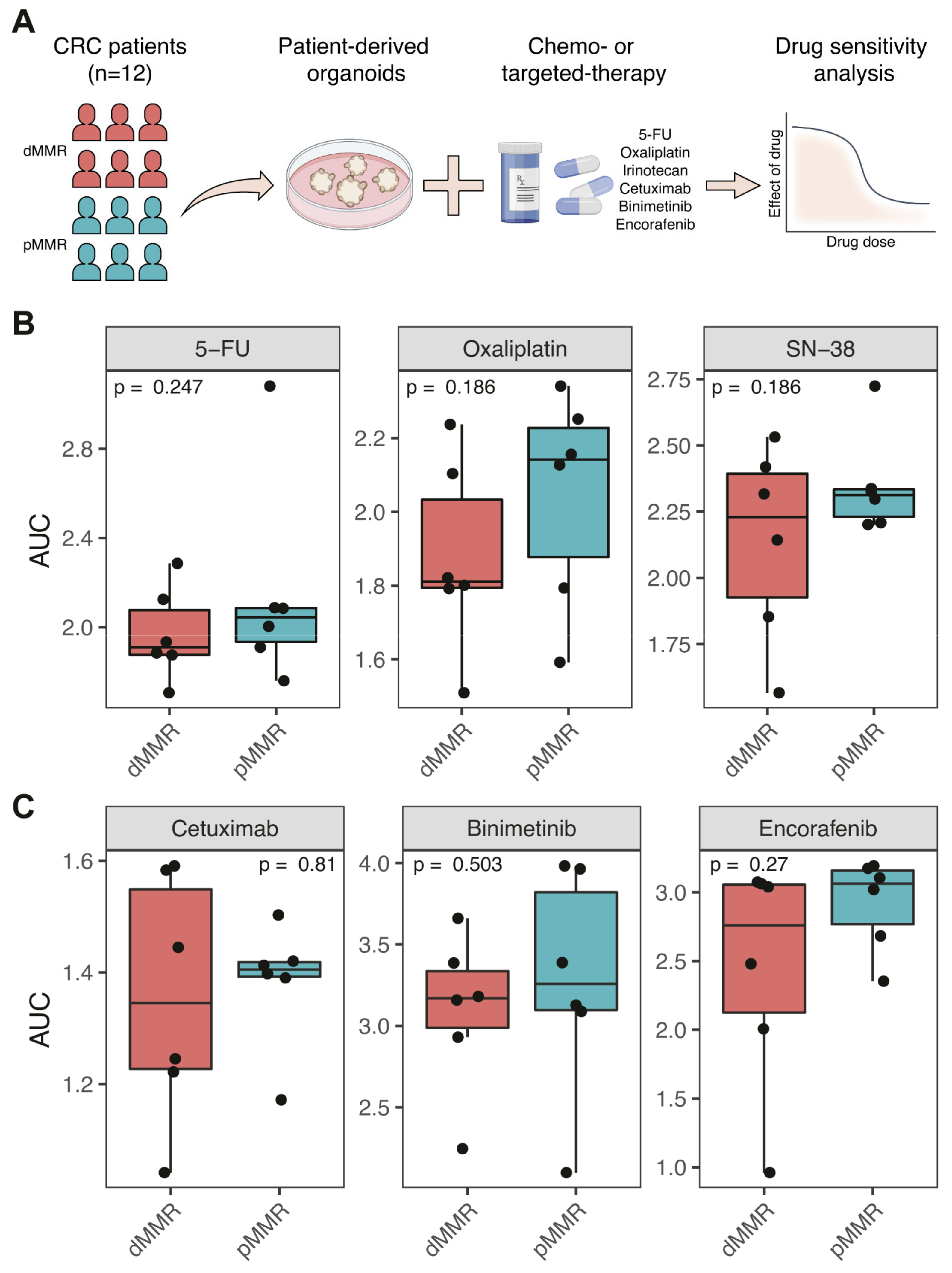 Cancers 13 05434 g003