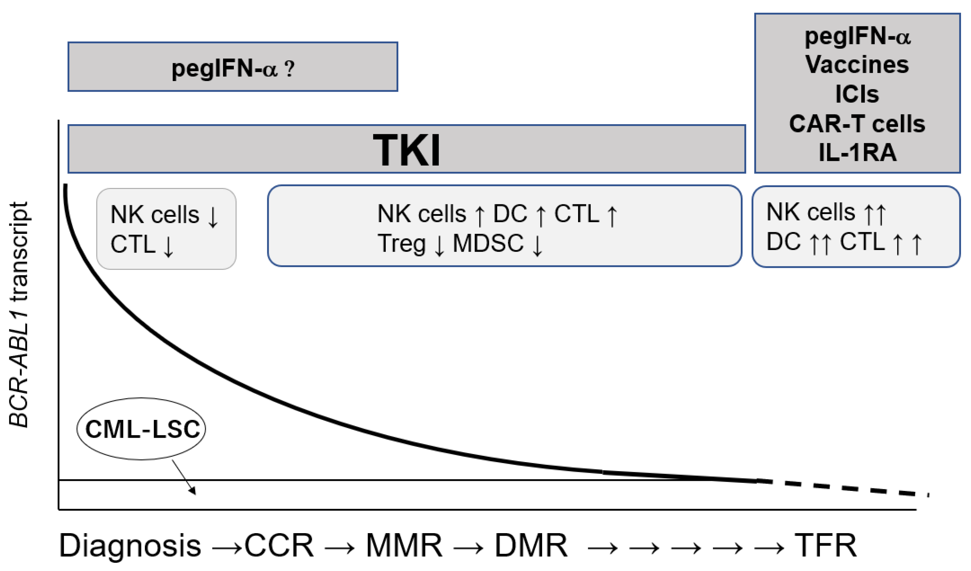 Cancers 13 05435 g003 Cancers 13 05435 g003